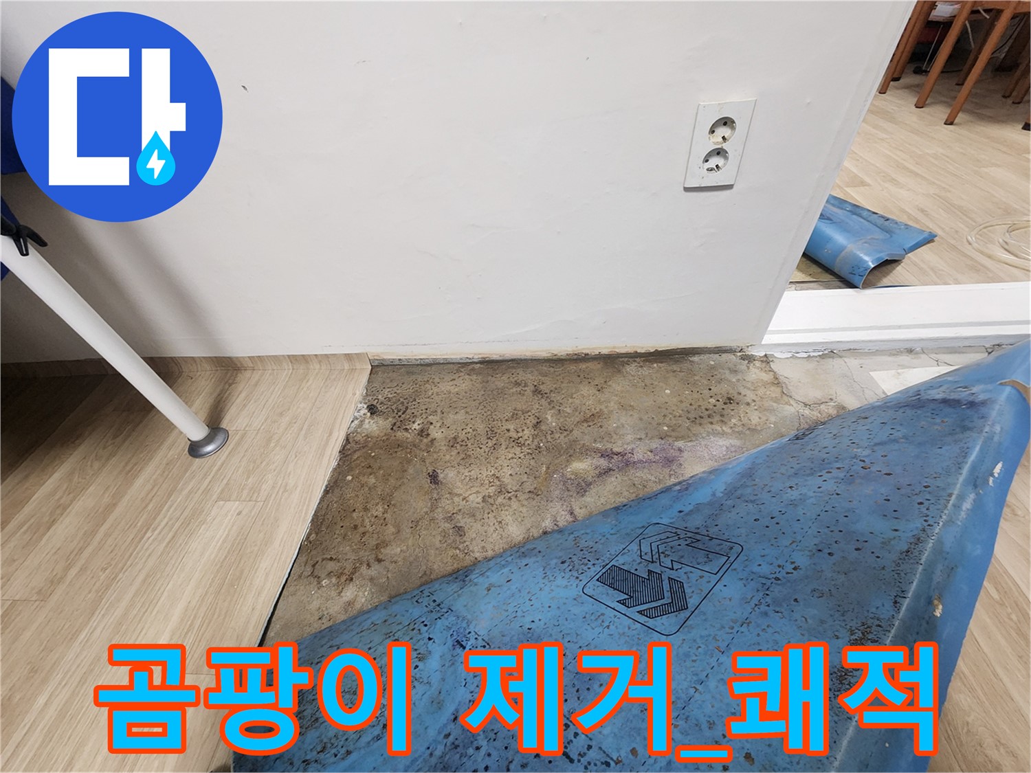 노원구 누수 - 장판 밑 곰팡이 제거 작업 - 쾌적한 환경 조성