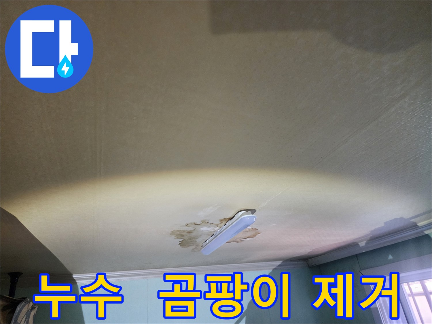누수 곰팡이 제거 및 방지 - 공릉동 빌라