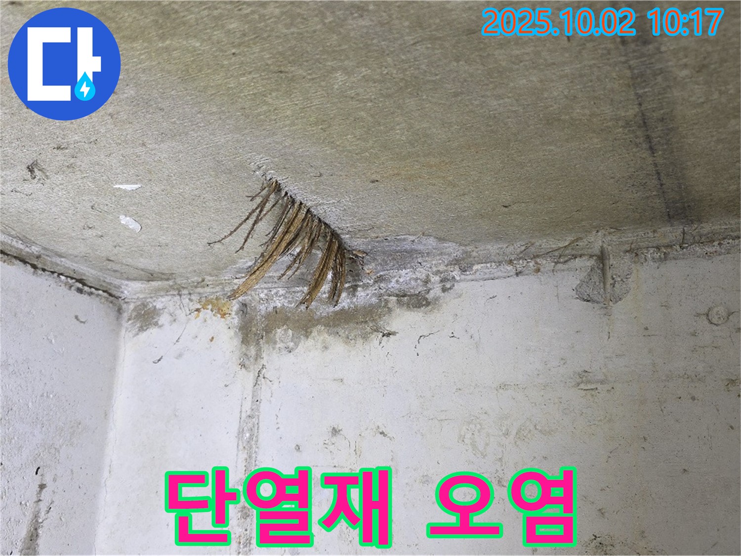 양주 남면 누수 - 곰팡이 핀 천장, 누수로 인한 단열재 오염