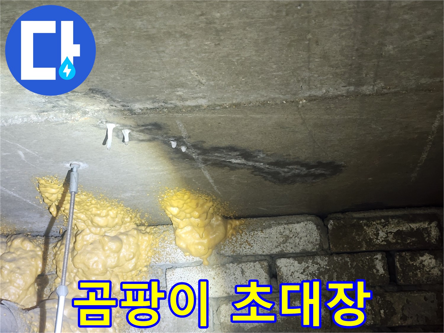 당산동 아파트 누수 - 폼 끈적임은 곰팡이 초대장, 제거 후 방지 시공 필수