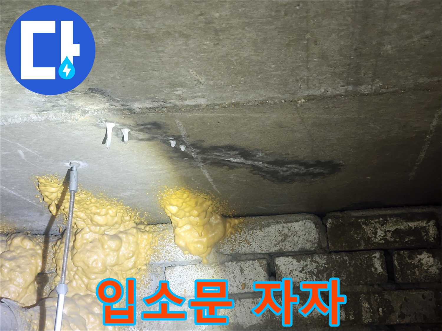영등포구 누수 - 폼 젖음 완벽 해결 후 입소문 자자 - 다양한 누수 문제 해결 경험