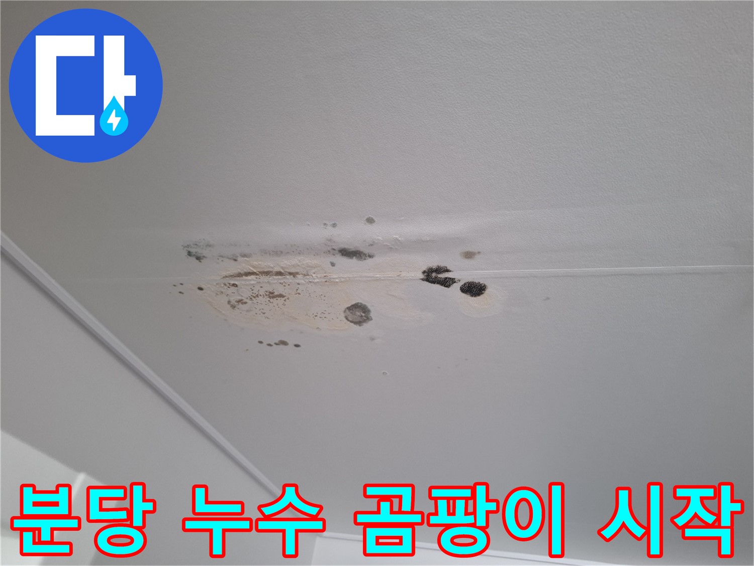 누수 - 곰팡이 시작 단계, 초기 대응 중요!