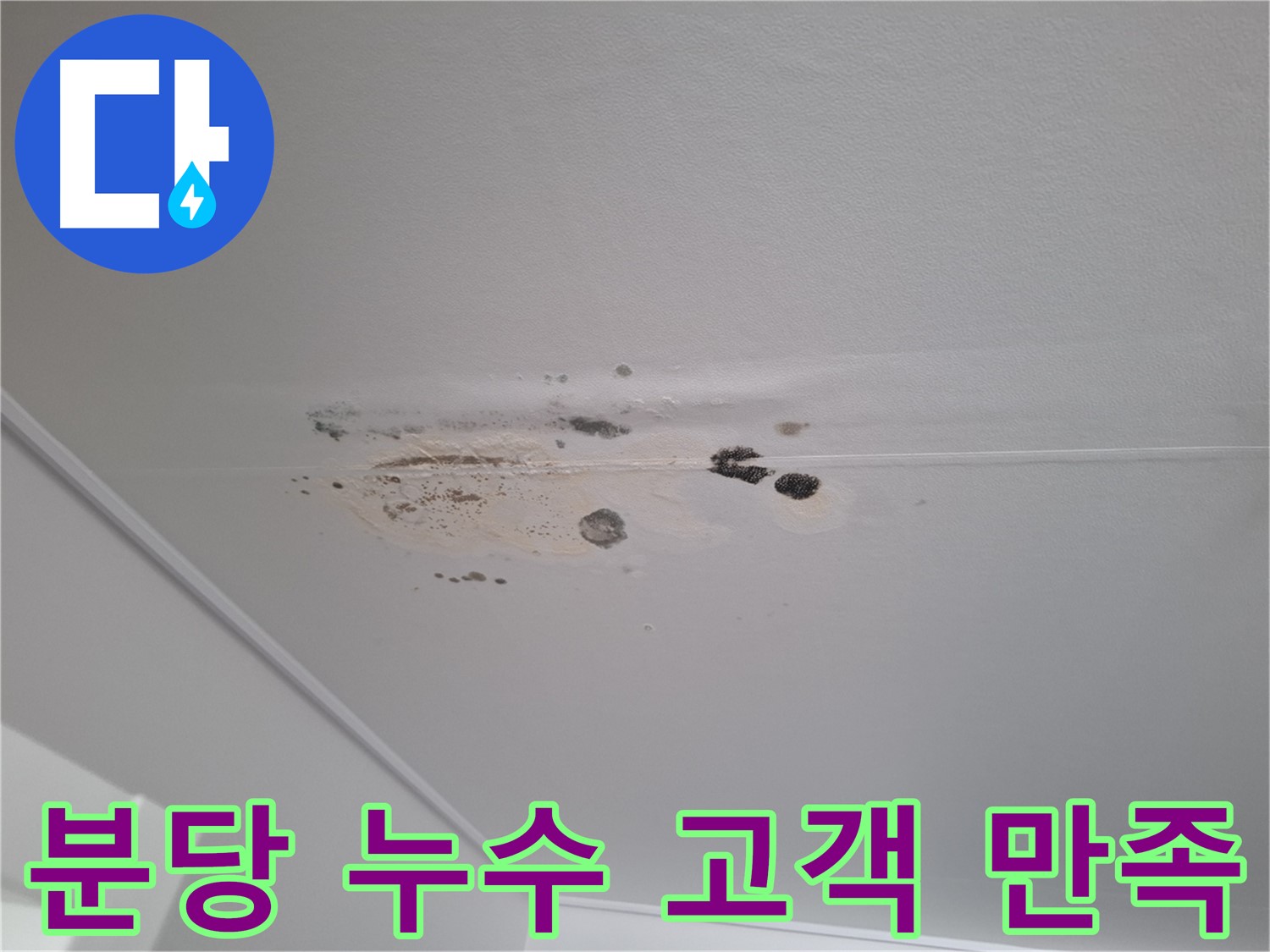 누수 곰팡이 - 완벽 해결, 고객 만족 100% 약속