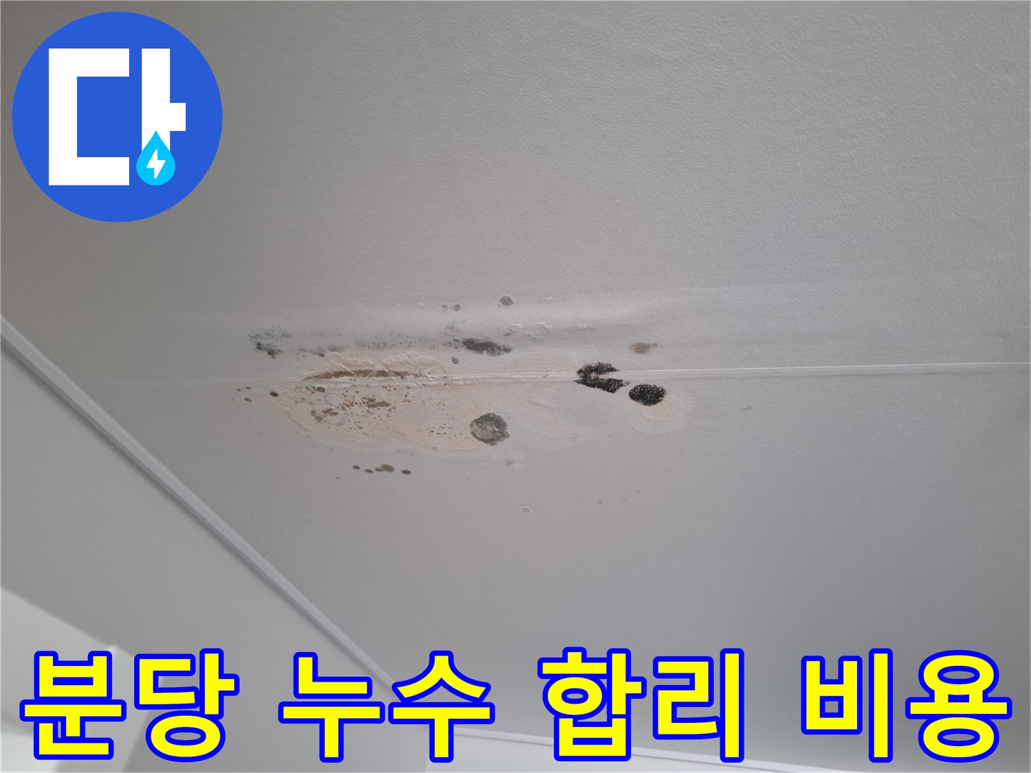 누수 해결 - 꼼꼼한 점검, 합리적인 비용으로 해결