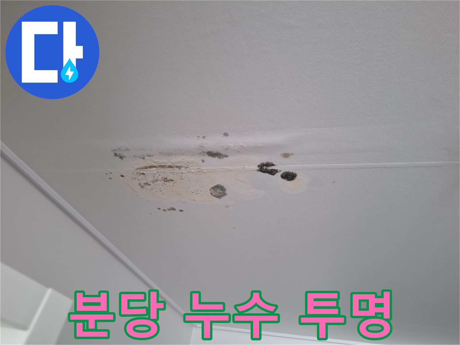 누수 해결 - 친절한 상담, 투명한 견적 제공