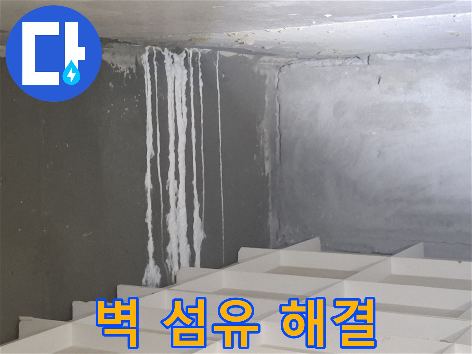 분당 누수 - 삼평동 아파트 벽에 맺힌 하얀 섬유 문제, 진단부터 시공까지 원스톱 솔루션 제공