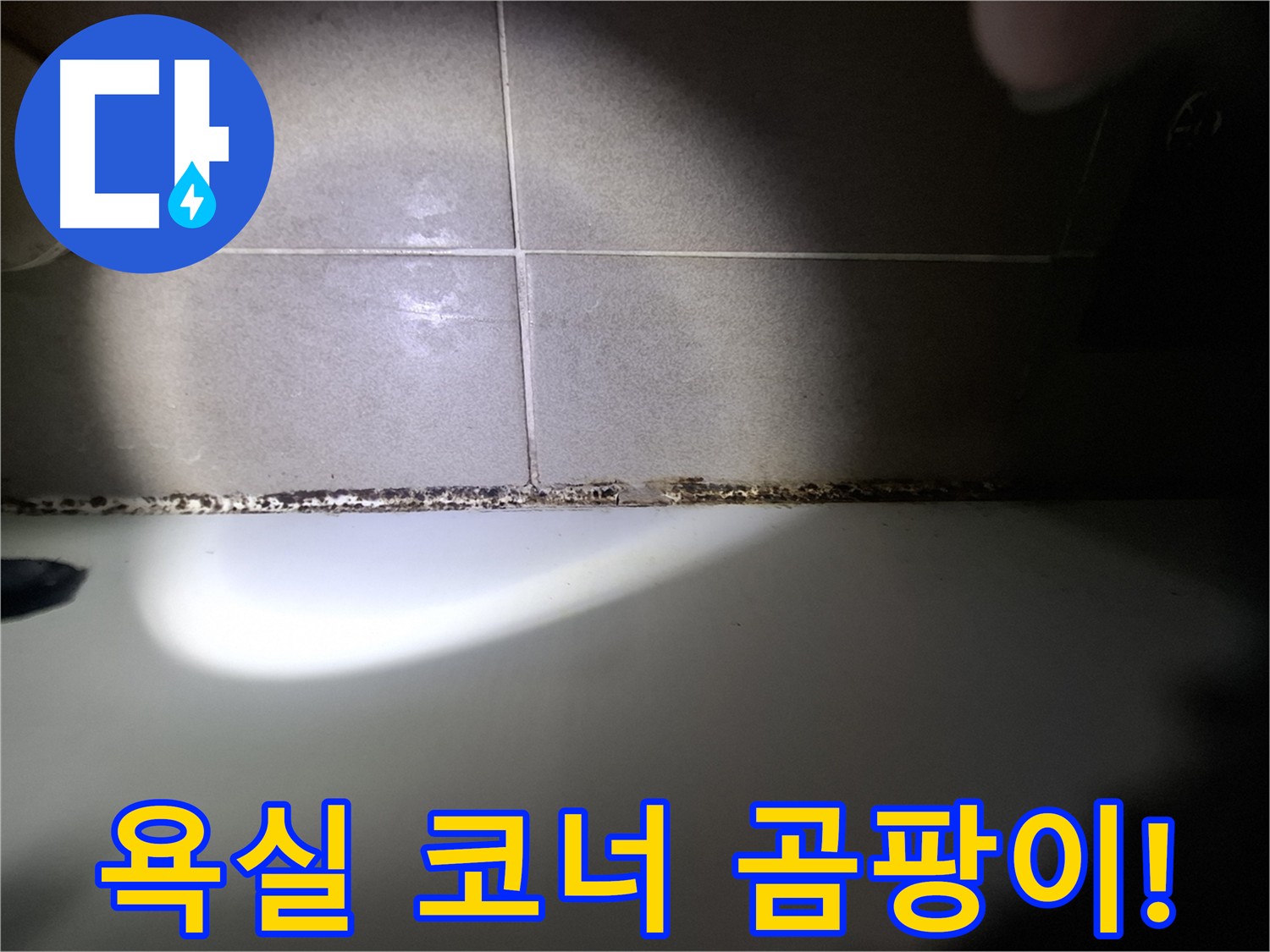 욕실 코너 곰팡이 - 건물 구조 약화 및 건강 악영향 우려