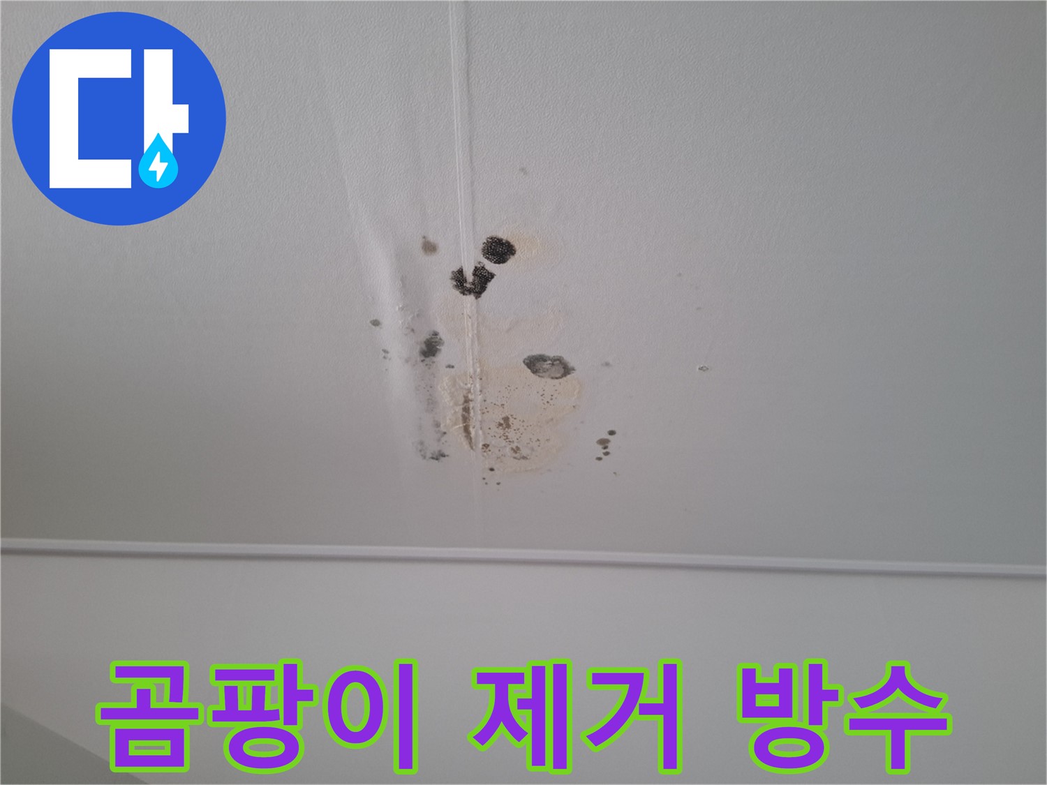 분당 봇들마을 봇들마을2단지 아파트 - 곰팡이 제거 후 완벽한 방수 시공으로 재발 방지.