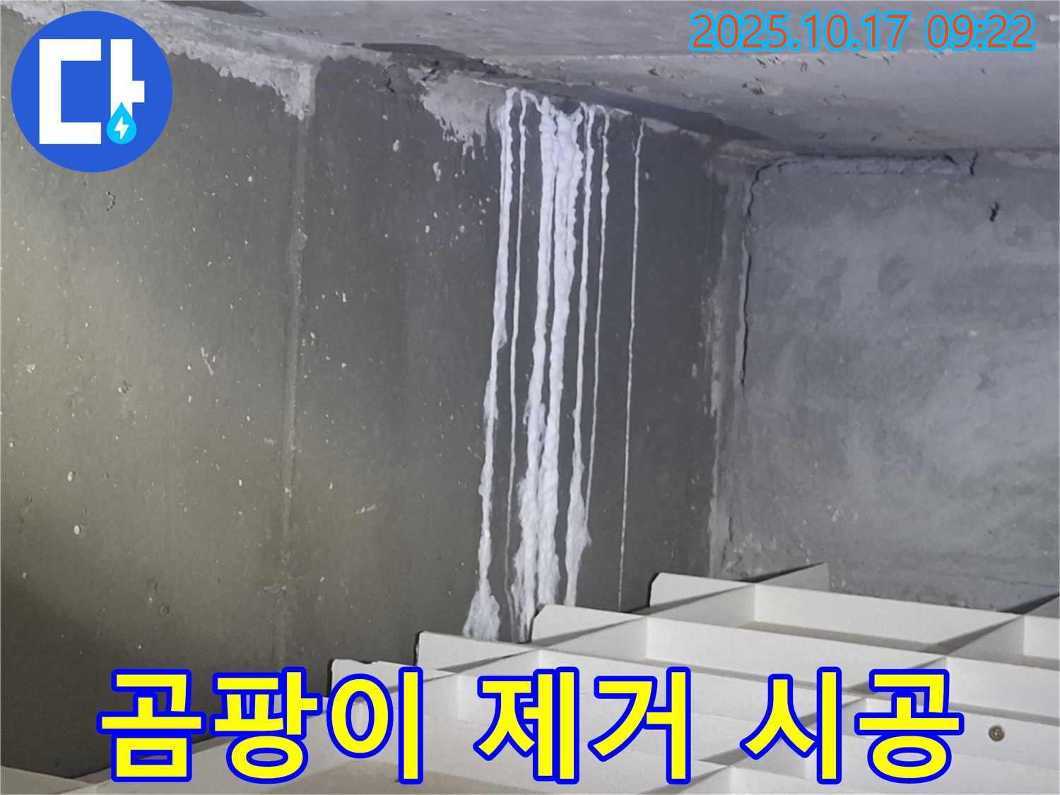 분당 봇들마을 석회수 누수 - 곰팡이 발생 원인 제거 및 시공.
