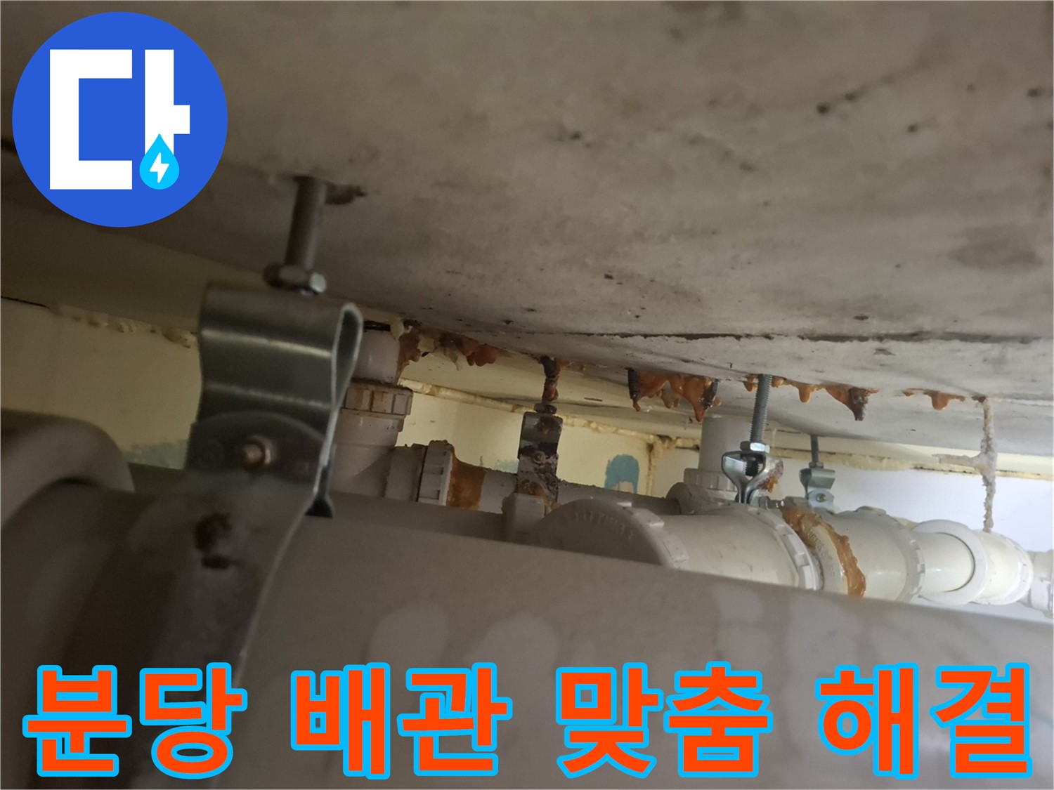 분당 봇들마을 아파트 - 배관 상태 확인, 맞춤형 해결책 제시
