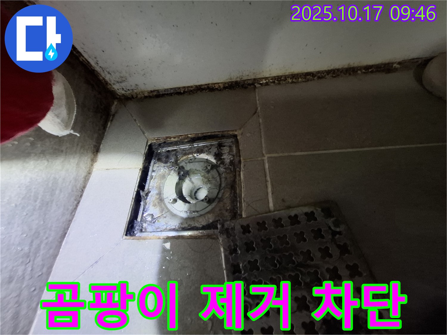 분당 봇들마을 아파트 - 욕실 배수구 곰팡이 제거 - 누수 완벽 차단 - 확실한 A/S 보장 - 쾌적한 욕실 환경을 만들어 드립니다.