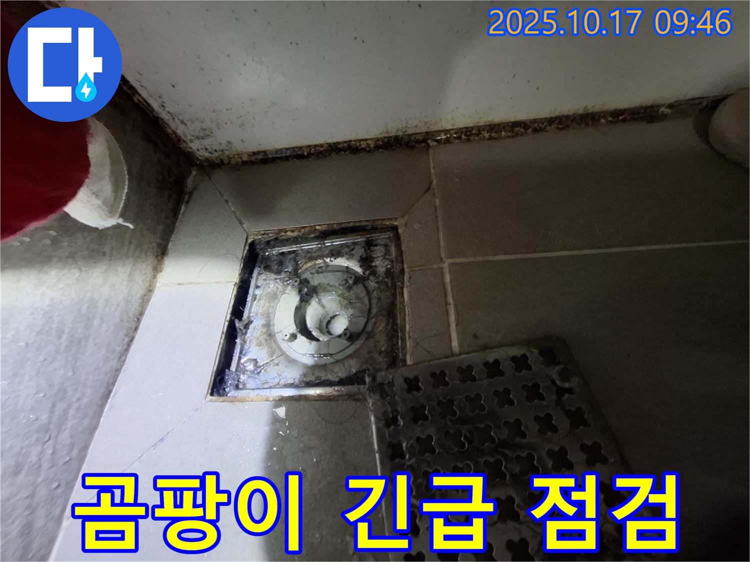 분당 봇들마을 아파트 - 욕실 배수구 주변 곰팡이와 누수 의심 - 빠른 방문 서비스 제공 - 쾌적한 욕실 환경을 되찾아 드립니다.
