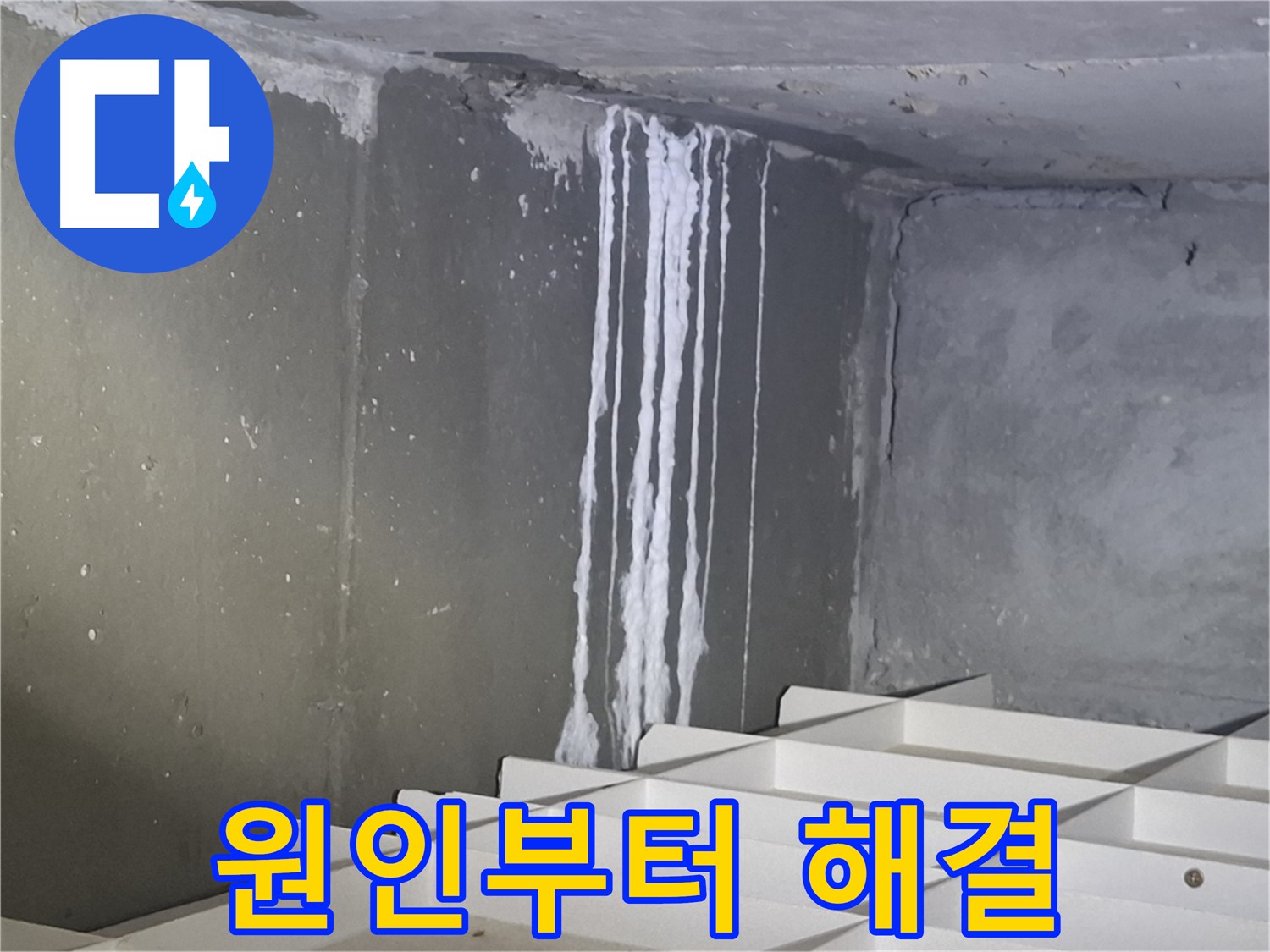 분당 봇들마을 아파트 - 지하 석회 누수, 원인부터 해결까지 책임