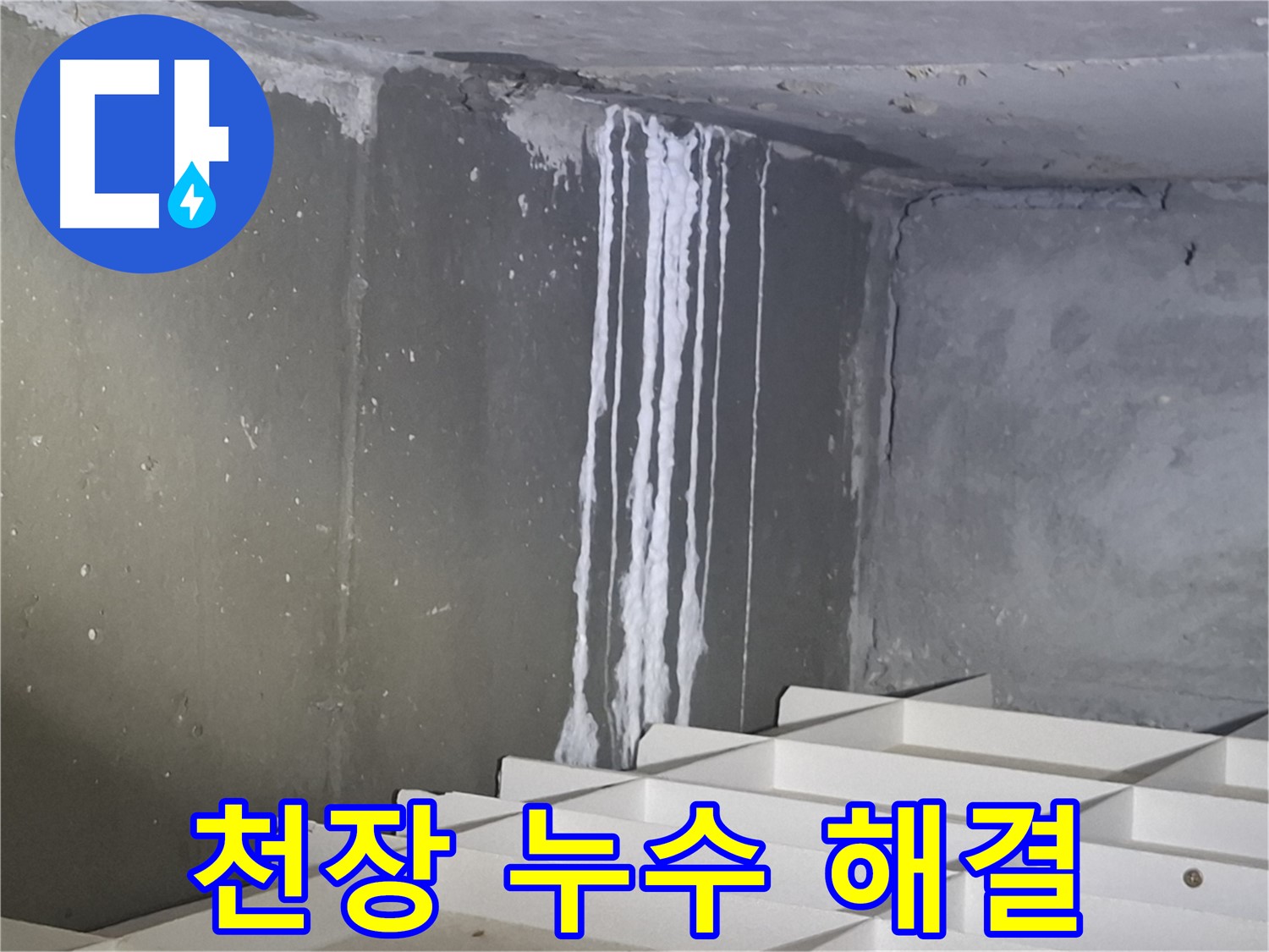 분당 봇들마을 아파트 천장 누수 해결 - 원인부터 해결까지 꼼꼼하게
