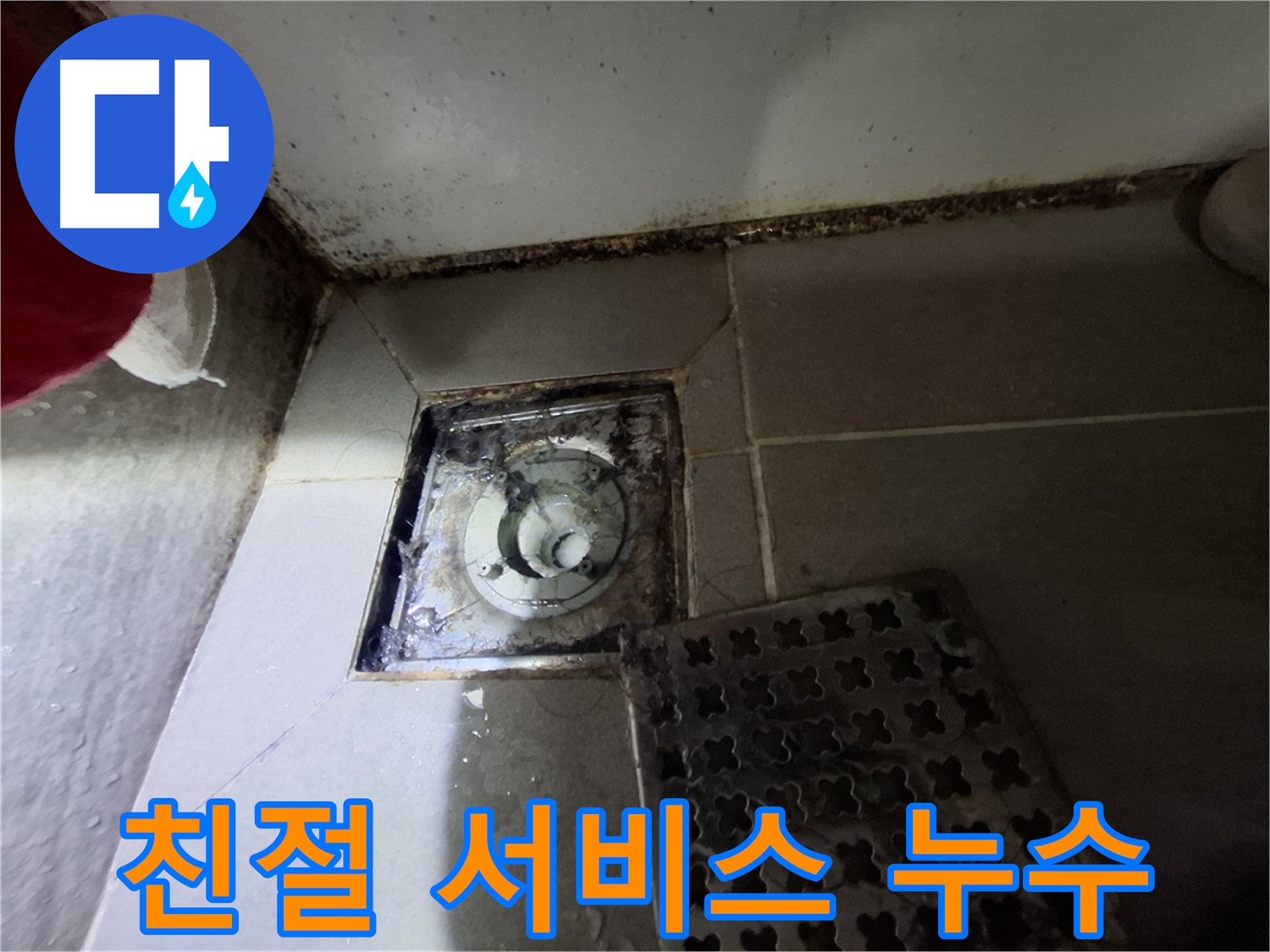 분당 봇들마을 욕실 배수구 누수 - 친절하고 꼼꼼한 서비스 제공