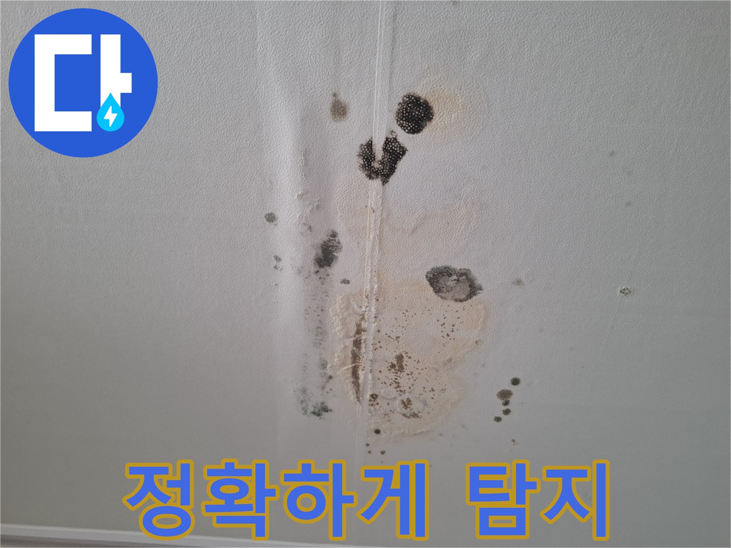 분당 봇들마을2단지 아파트 누수 - 누수 지점, 정확하게 탐지