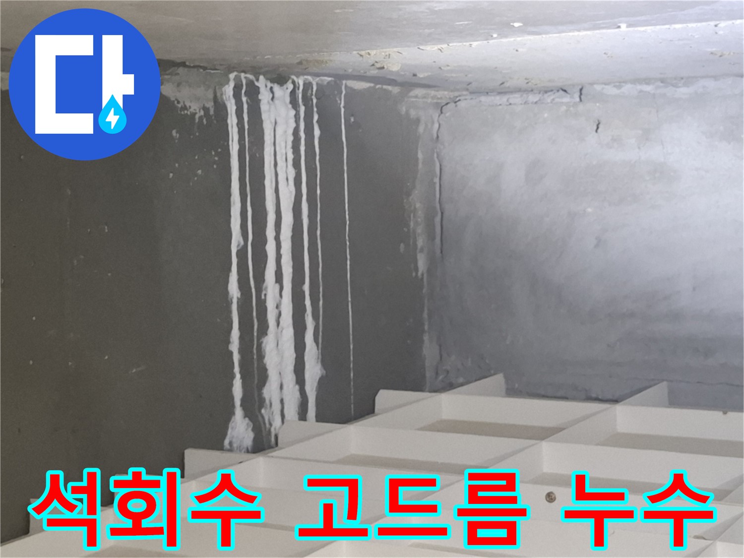 분당 삼평동 누수 현장 - 석회수 고드름 발생, 누수 원인 꼼꼼하게 진단하고 해결