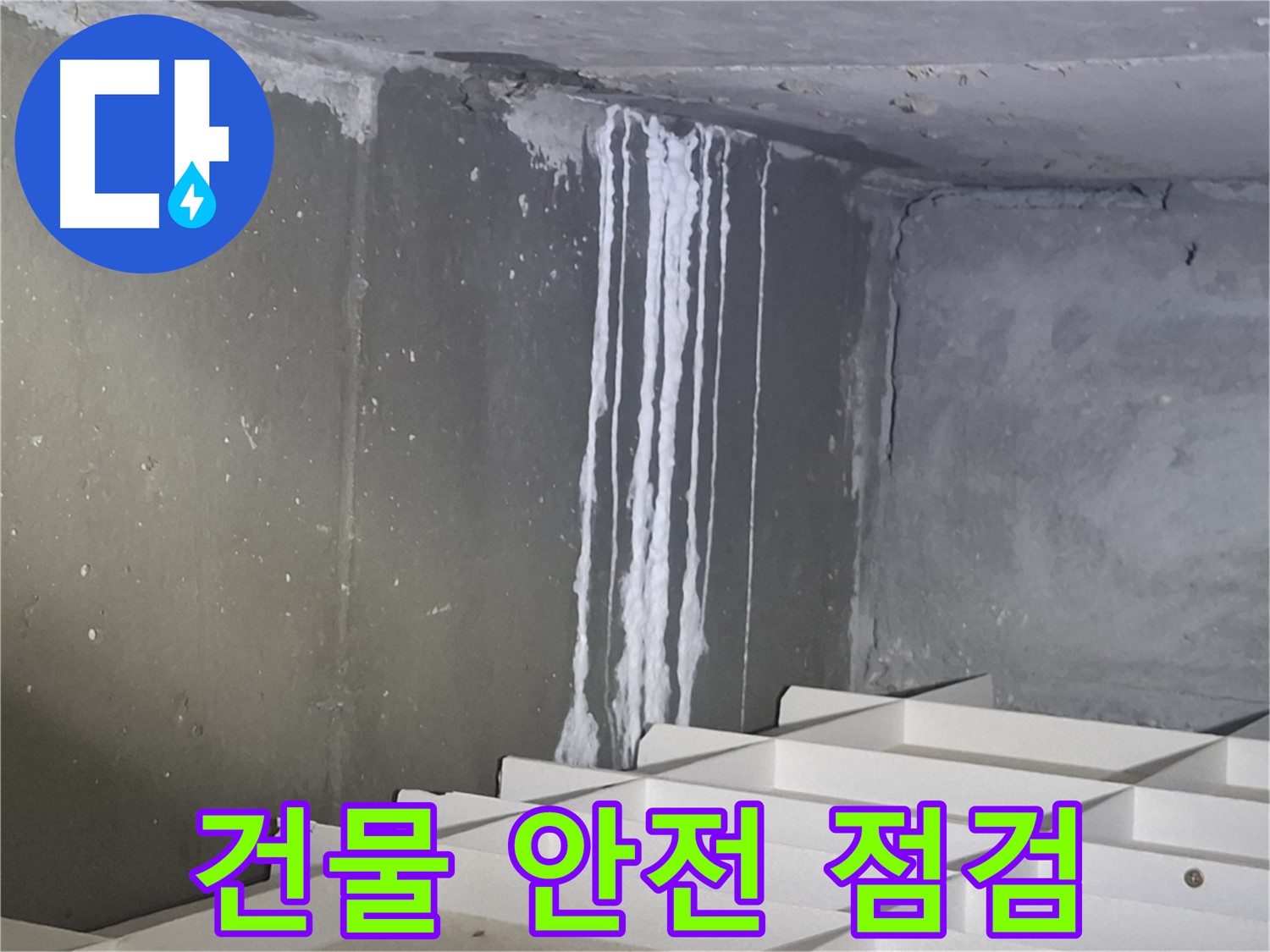 분당 삼평동 봇들마을 아파트 누수 - 주차장 천장 석회 누수, 건물 안전을 위해 지금 바로 점검하세요