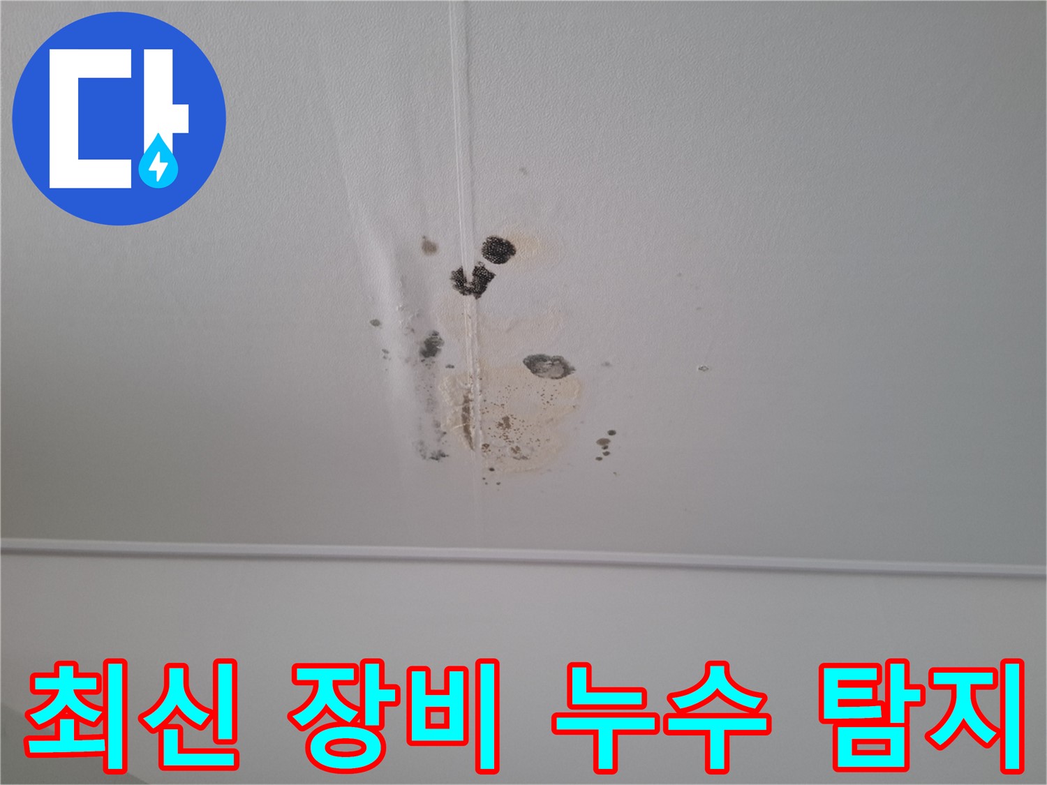분당 삼평동 봇들마을 아파트 - 최신 장비를 사용하여 정확한 누수 지점을 탐지합니다.
