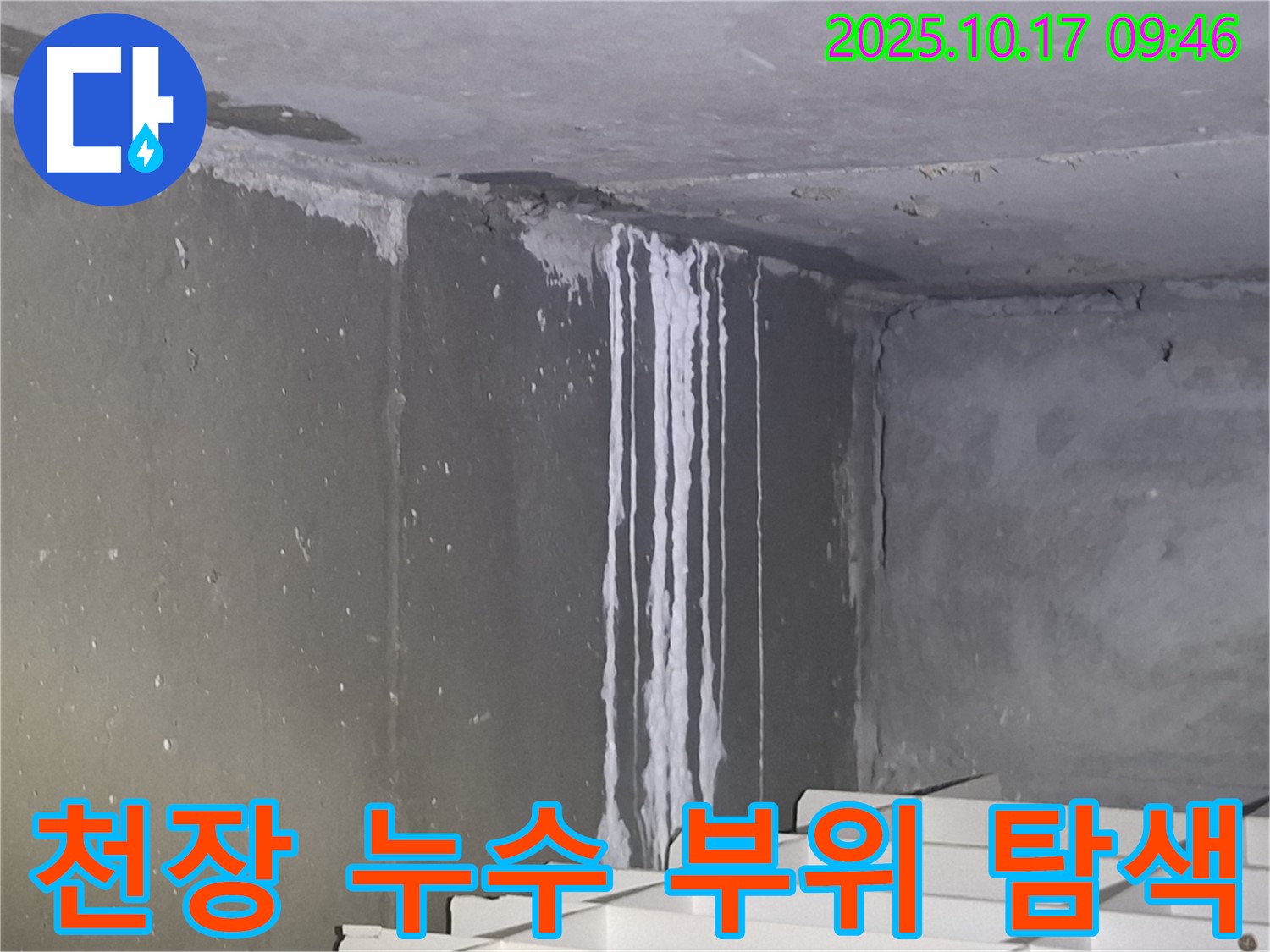 분당 삼평동 봇들마을2단지 아파트 계단실 천장 - 누수 부위를 정밀 탐색하고 원인 분석을 진행하고 있습니다.