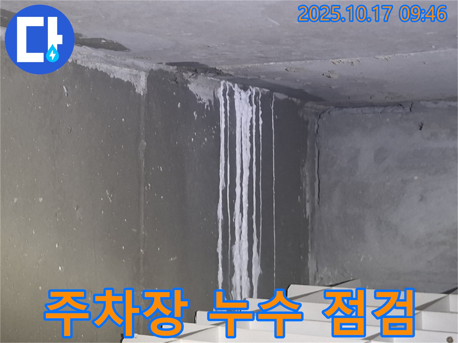 분당 삼평동 봇들마을2단지 아파트 지하주차장 누수 긴급 점검 - 천장의 석회 자국은 누수의 오랜 진행을 나타냅니다.
