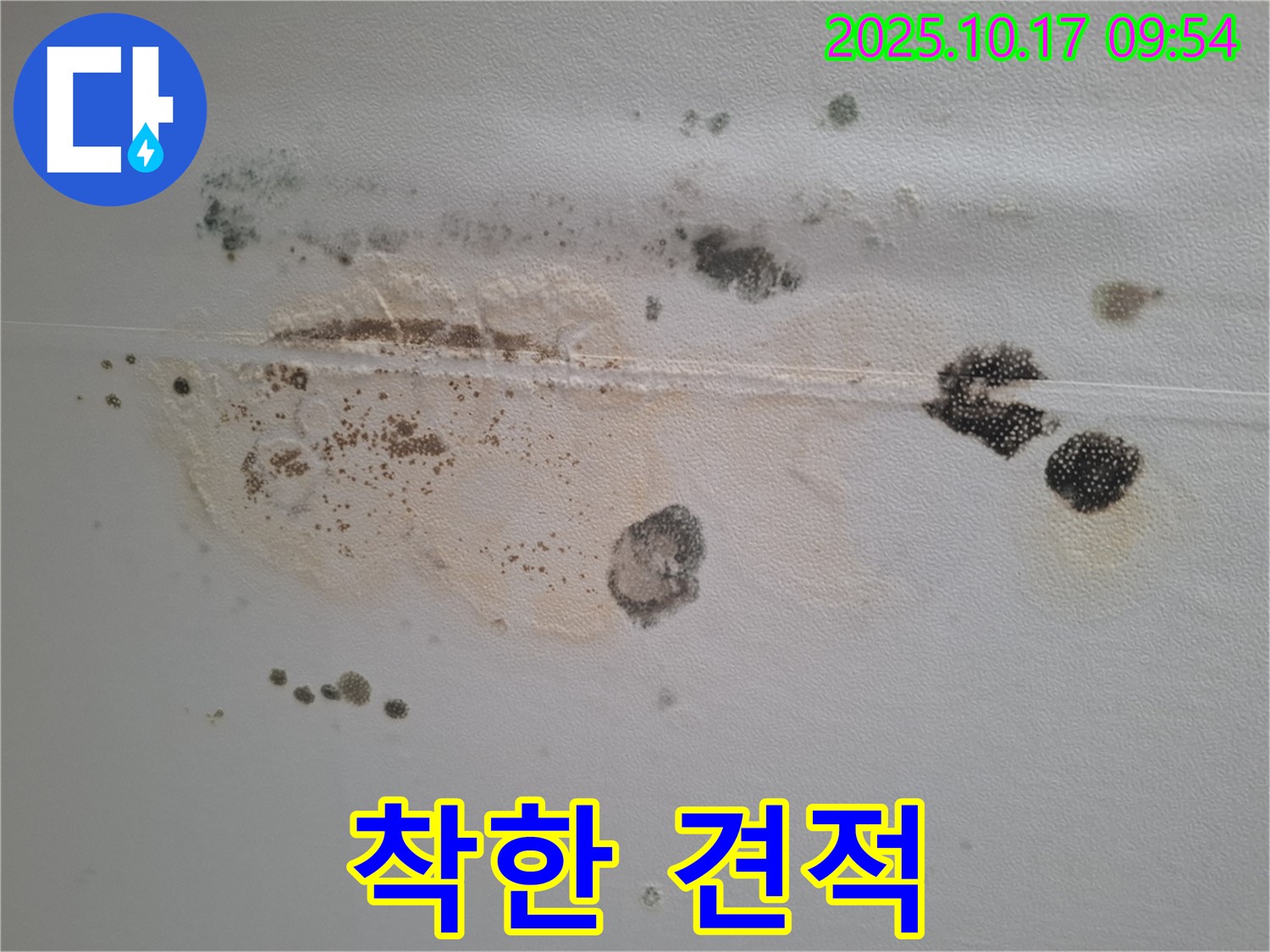 분당 삼평동 봇들마을2단지 아파트 천장 누수 견적 - 곰팡이 문제 해결을 위한 착한 가격 제시