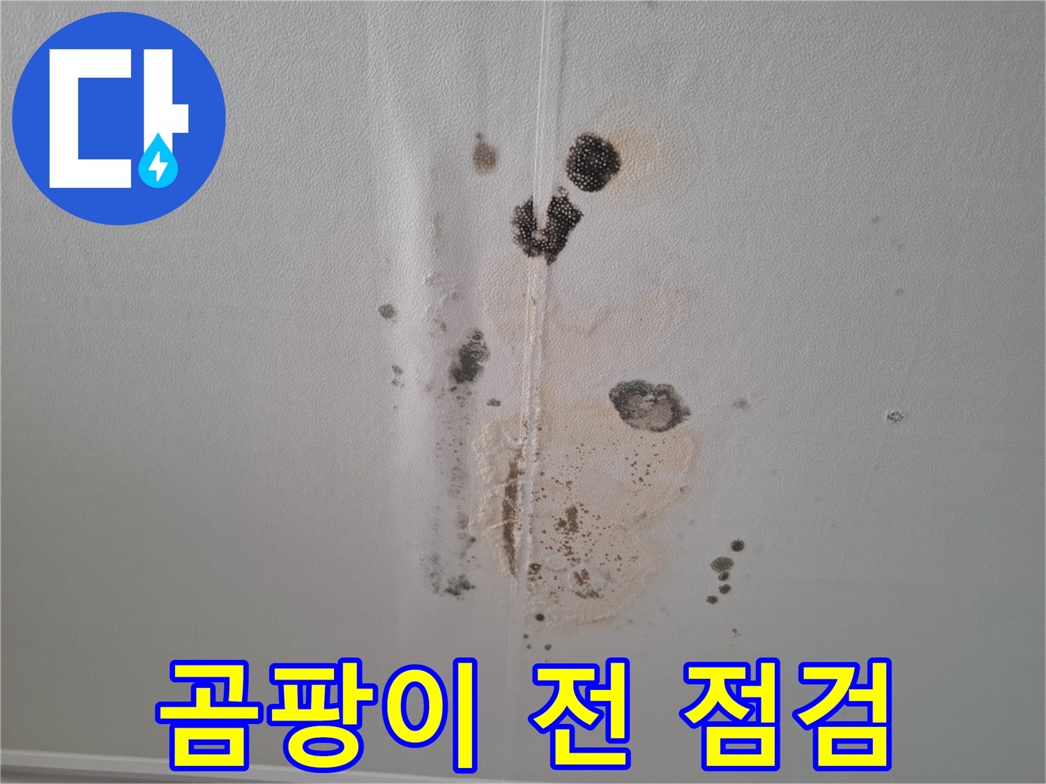 분당 삼평동 아파트 누수 - 곰팡이 발생 전 천장 얼룩 긴급 점검