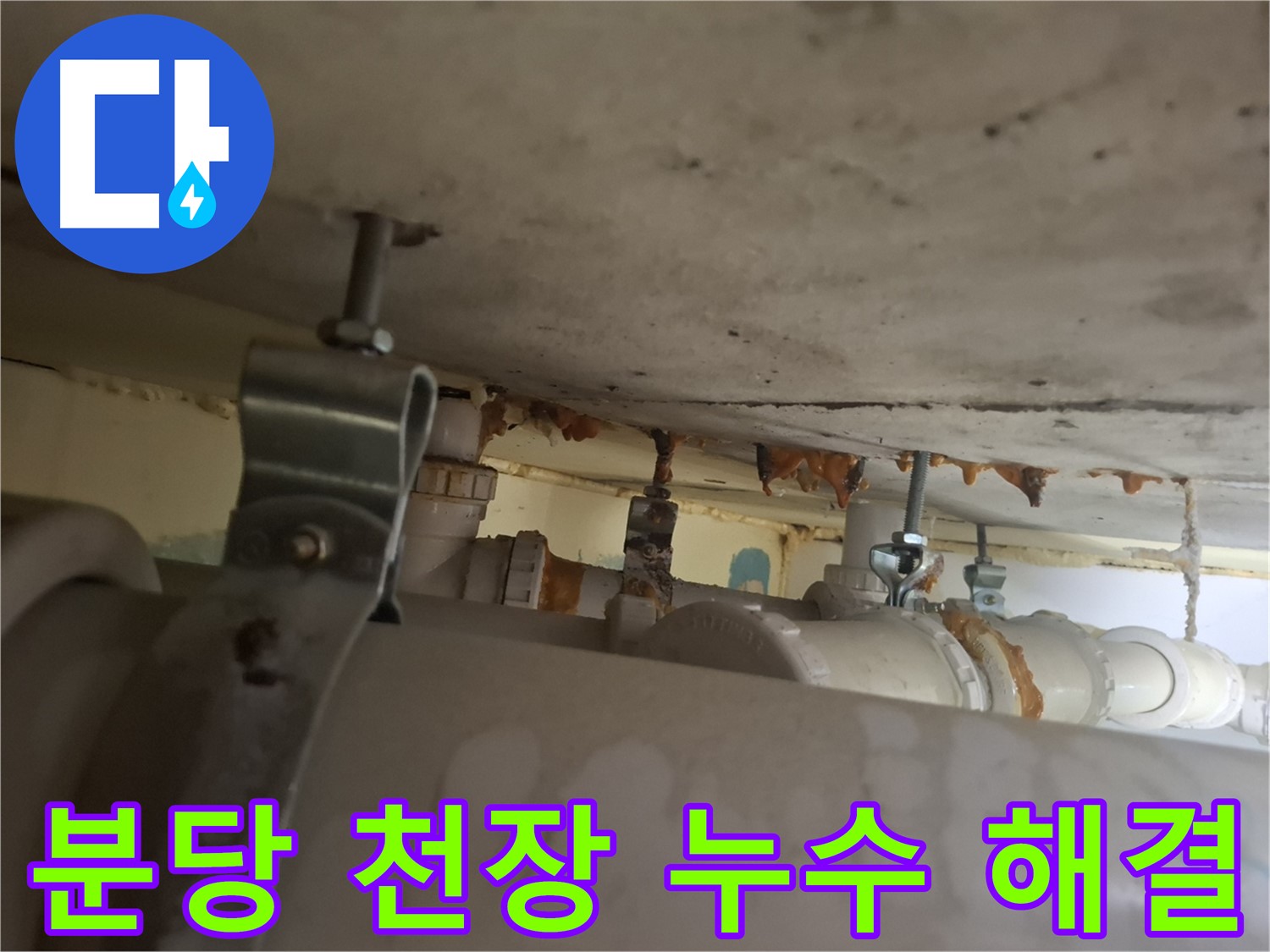 분당 삼평동 아파트 천장 누수 해결 - 누수 원인부터 완벽 차단까지