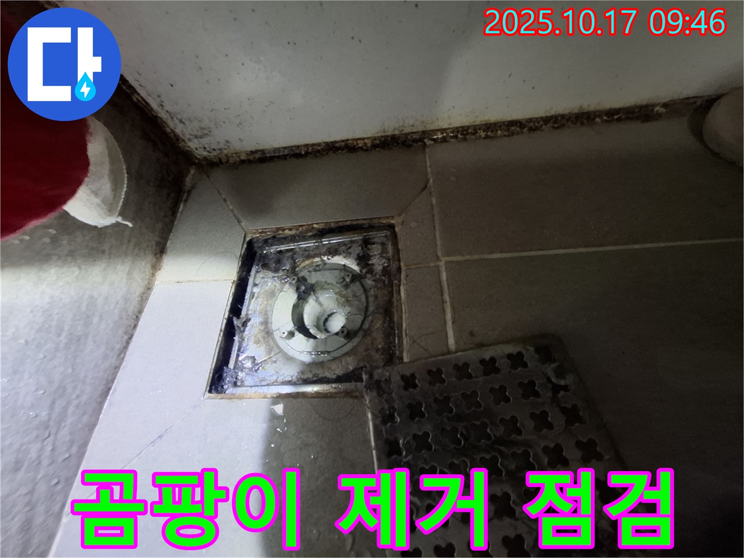 분당 판교 봇들마을2단지 아파트 - 욕실 배수구 곰팡이 제거 및 누수 사전 점검 - 쾌적한 욕실 환경을 위한 첫걸음.
