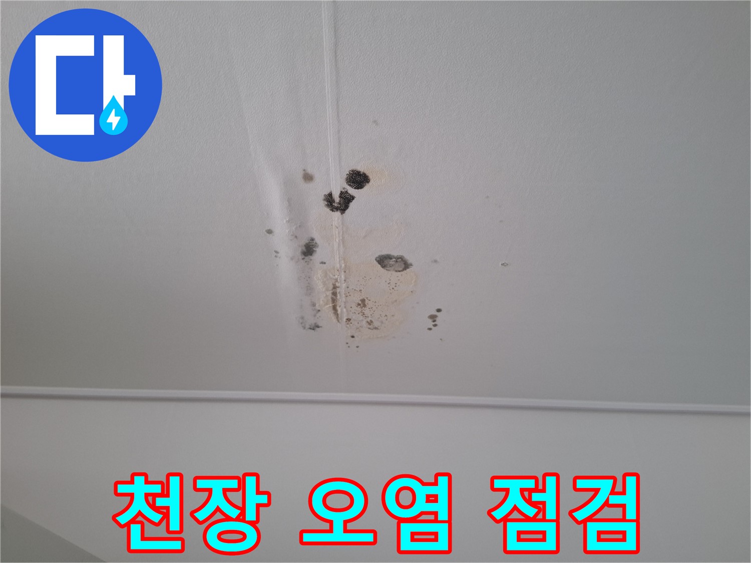 분당구 삼평동 봇들마을 아파트 천장 오염 상태 - 누수 흔적과 곰팡이가 심각합니다.