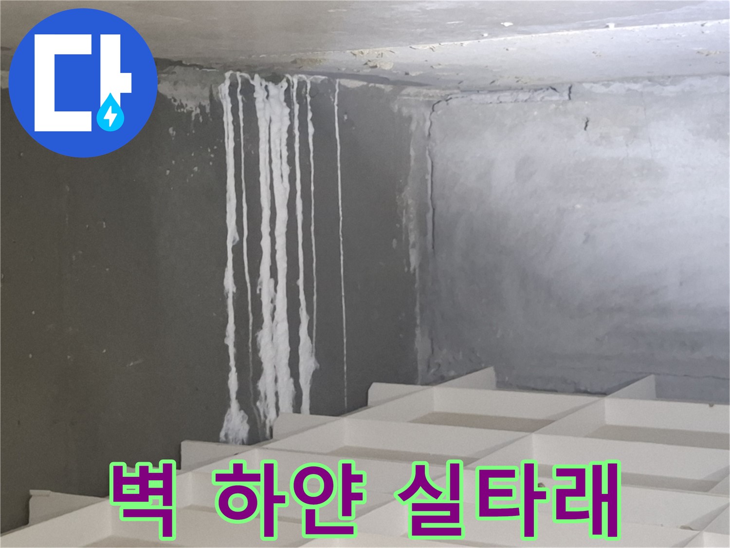 삼평동 누수 - 벽에 생긴 하얀 실타래, 누수와 관련된 석회 성분일 가능성 진단