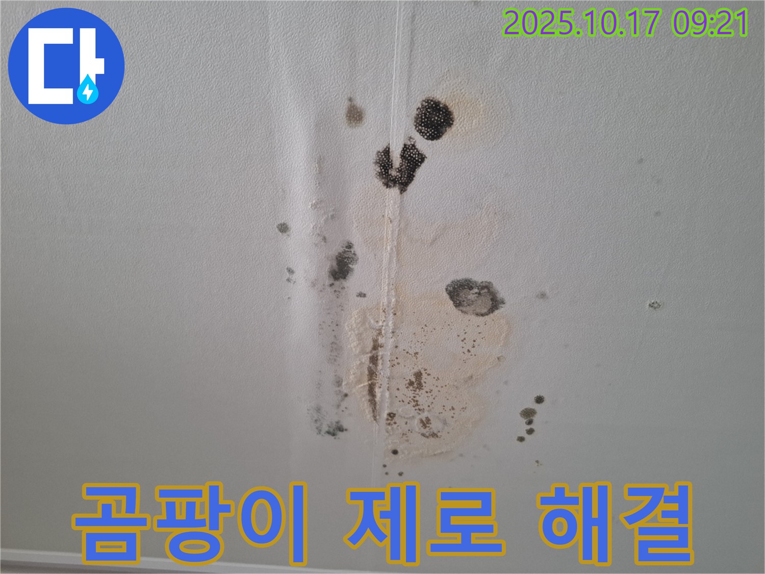 삼평동 아파트 누수 - 곰팡이 제로 - 누수 완벽 해결 시공 사례