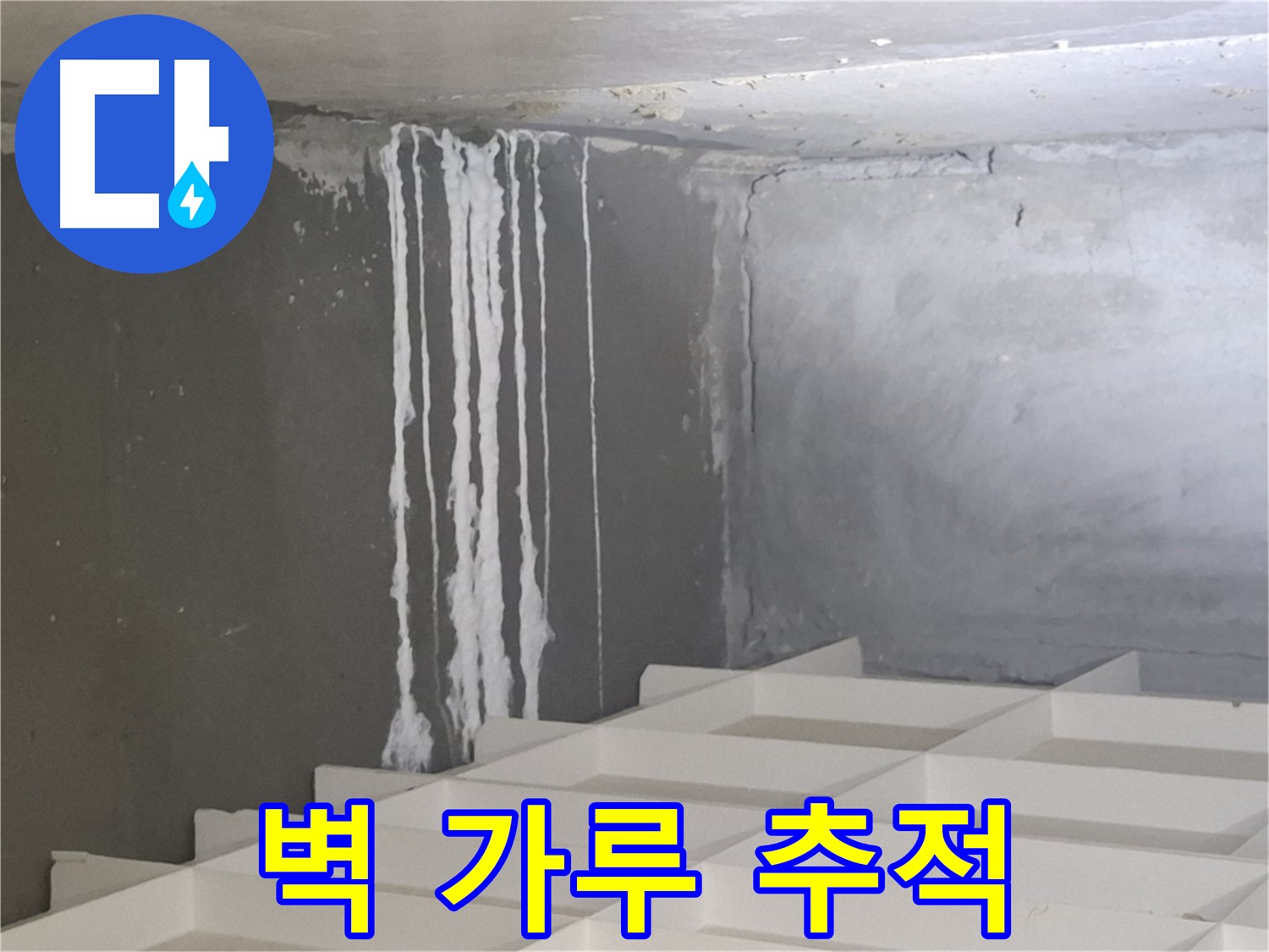 삼평동 아파트 누수 정밀검사 - 벽에 맺힌 하얀 가루, 숨겨진 누수 경로 꼼꼼히 추적