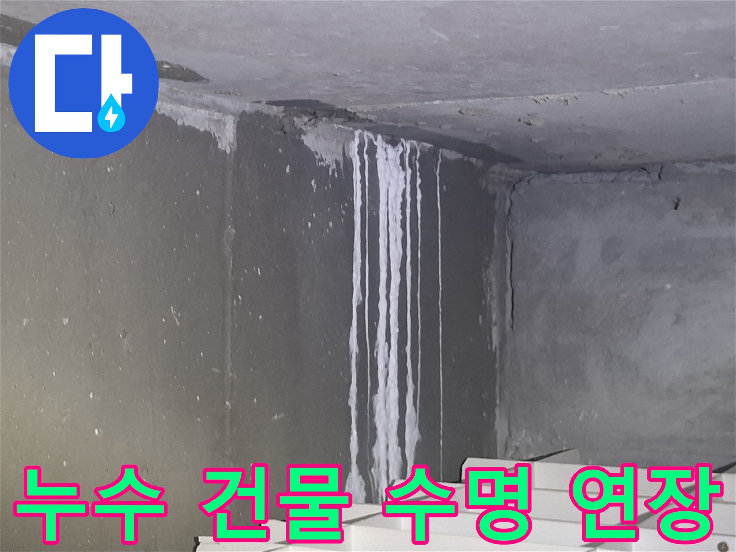 성남 건물 누수 - 건물 수명 연장의 시작
