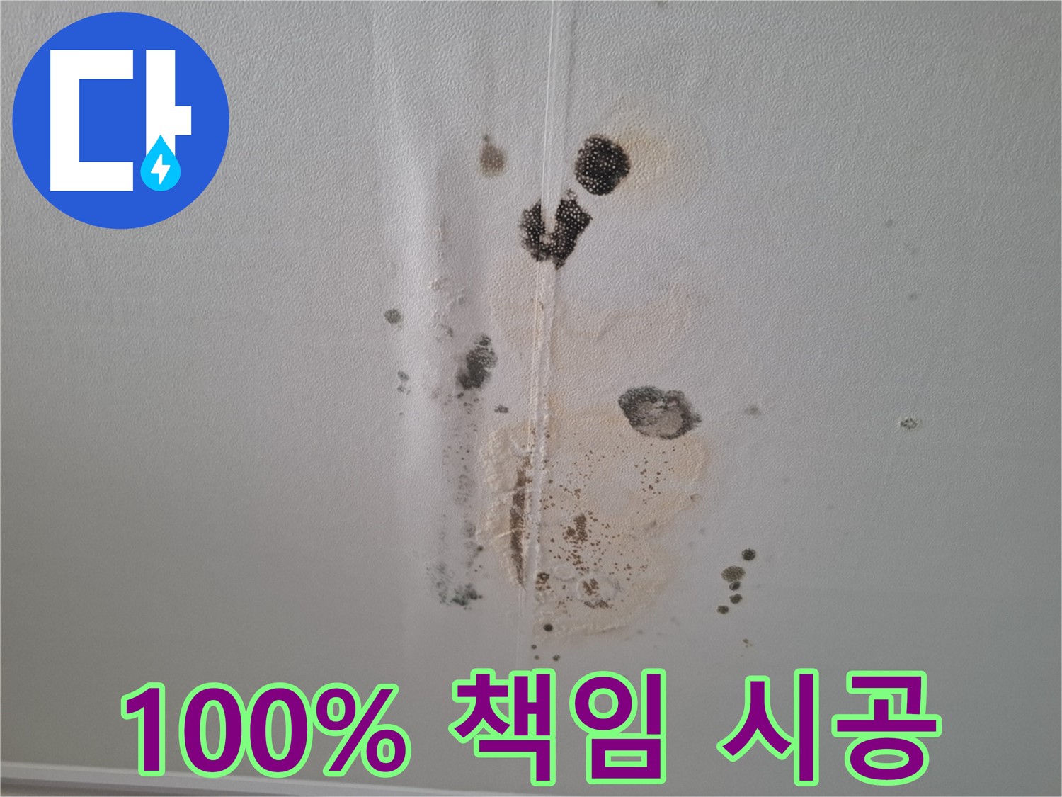 성남 누수 - 곰팡이 문제 100% 책임 시공 약속