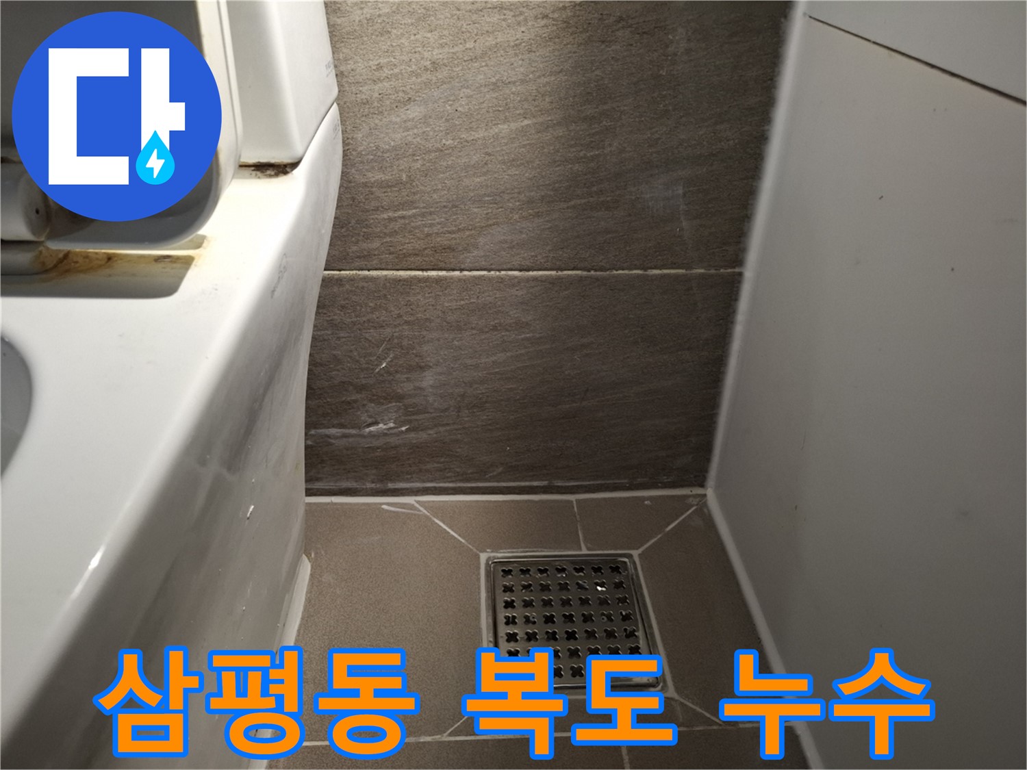 판교 삼평동 아파트 복도 천장 누수 - 공용 배관 문제일 수도