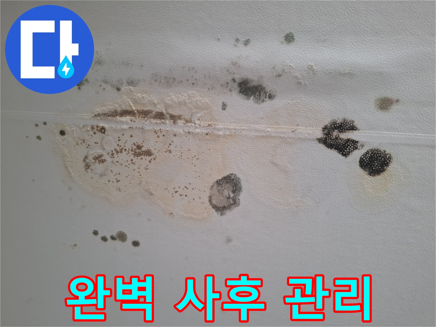 성남 봇들마을 누수 - 곰팡이 천장 제거 후 완벽한 사후 관리 보장