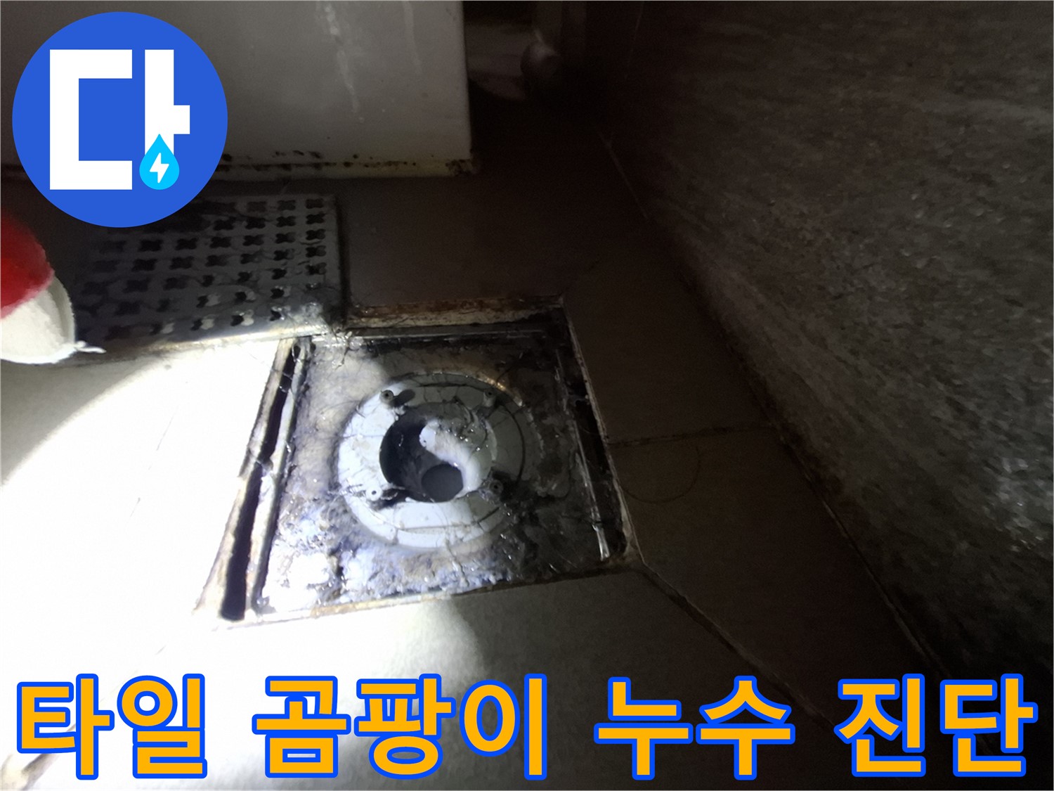 성남 봇들마을 욕실 타일 틈새 곰팡이 - 누수 진단으로 원인 분석, 쾌적한 욕실 만들기