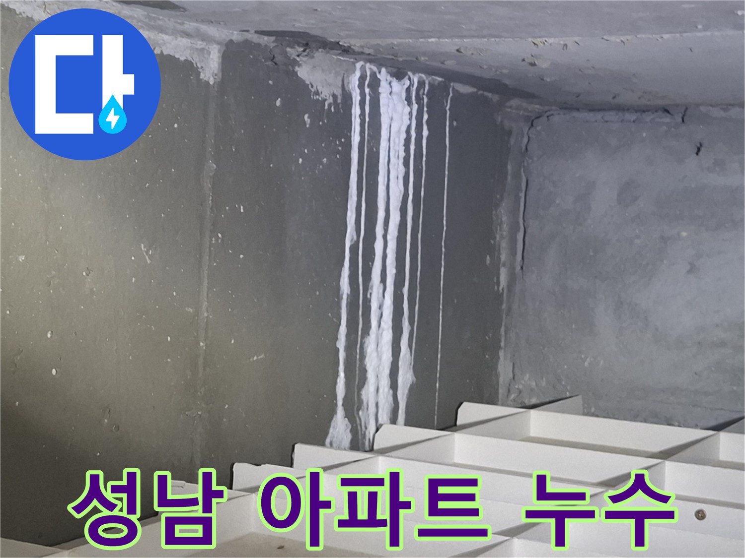 성남 봇들마을2단지 아파트 누수 - 정확한 탐지와 확실한 해결