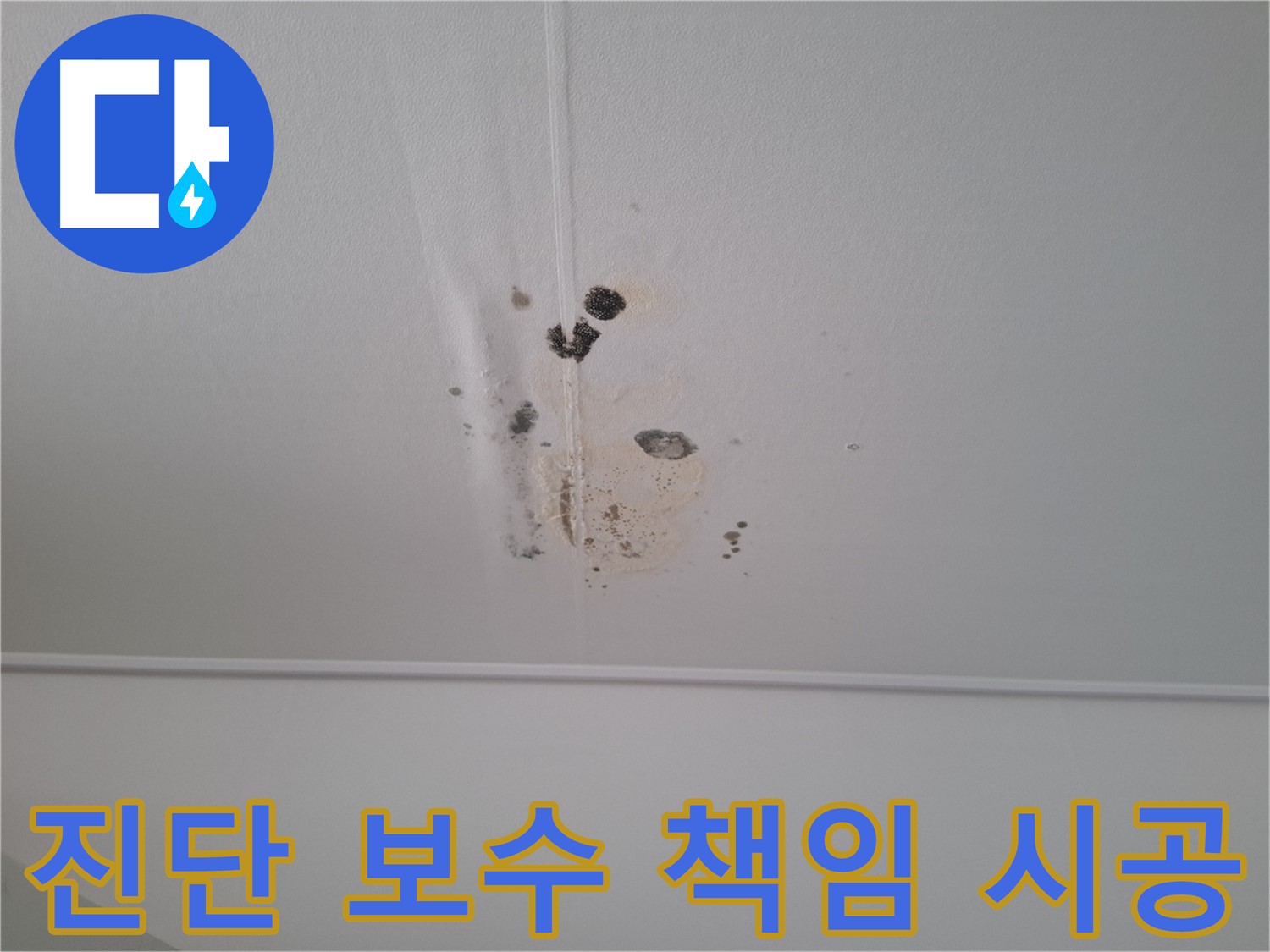 성남 봇들마을2단지 아파트 - 누수 진단부터 완벽한 보수 시공까지 책임지고 진행합니다.