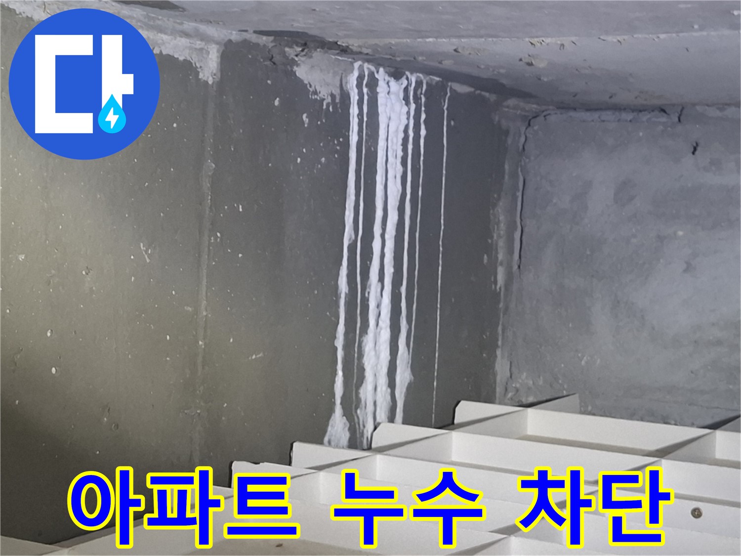 성남 분당 봇들마을 아파트 누수 차단 - 확실한 시공으로 문제 해결