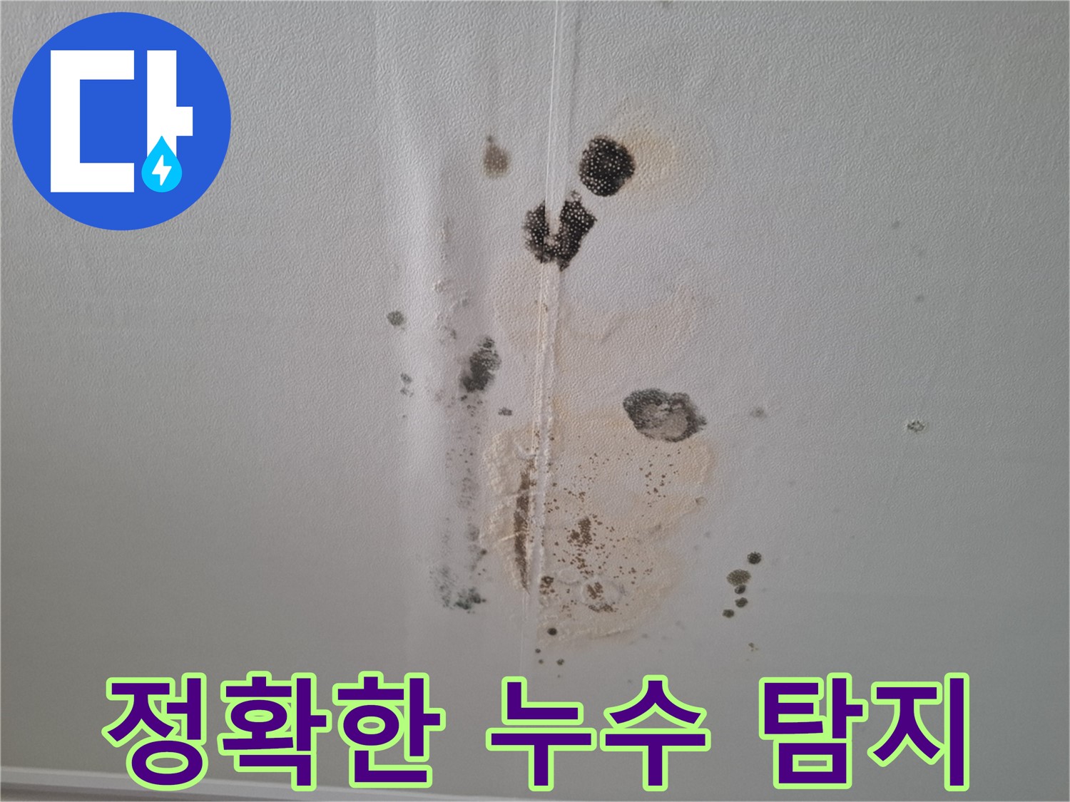 성남 분당 봇들마을2단지 누수 - 첨단 장비로 정확한 누수 탐지
