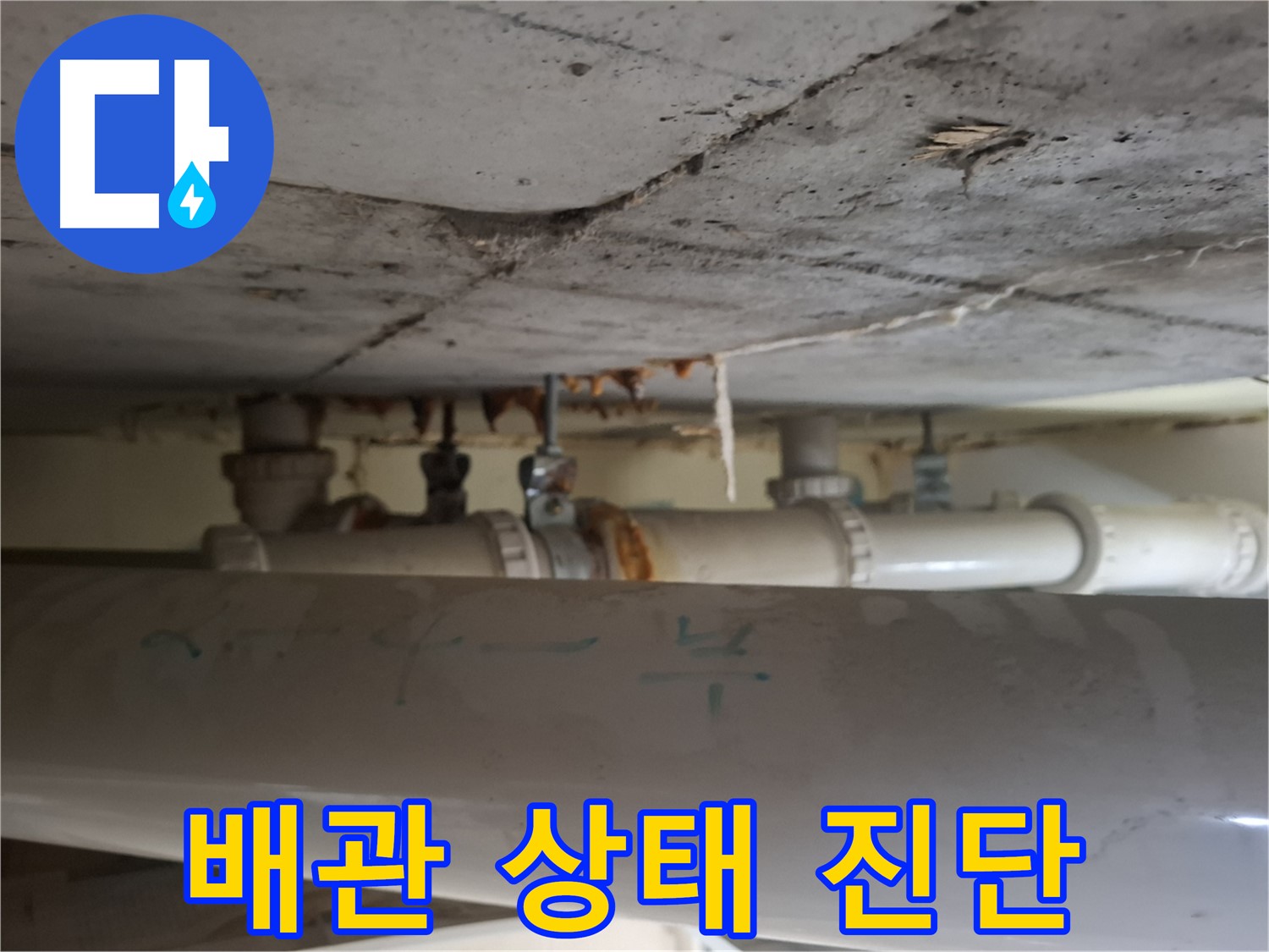 성남 분당 봇들마을2단지 아파트 - 천장 점검구 배관 상태 상세 확인 및 진단