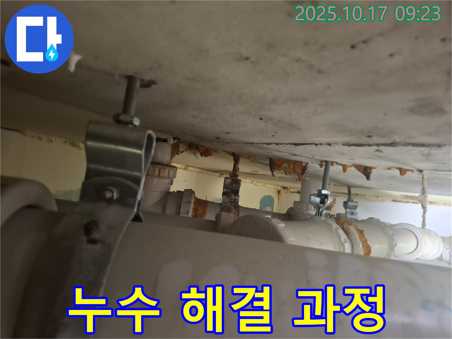 성남 분당 삼평동 봇들마을 아파트 누수 해결 과정 - 누수 원인 파악부터 완벽한 시공까지