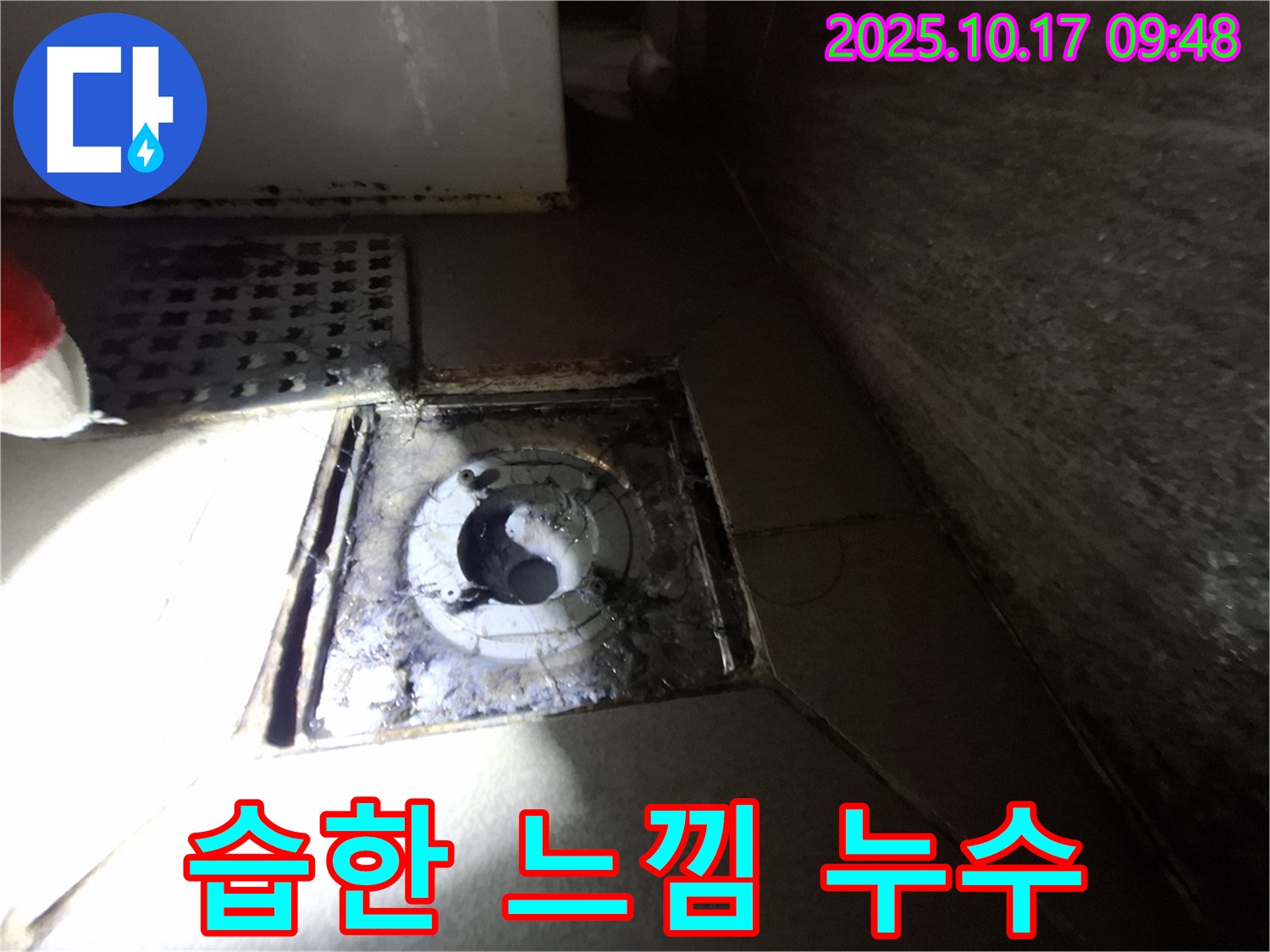 성남 분당 삼평동 봇들마을 아파트 욕실 배수구 주변 습한 느낌 - 누수 가능성을 진단하고 위생 문제를 해결합니다.