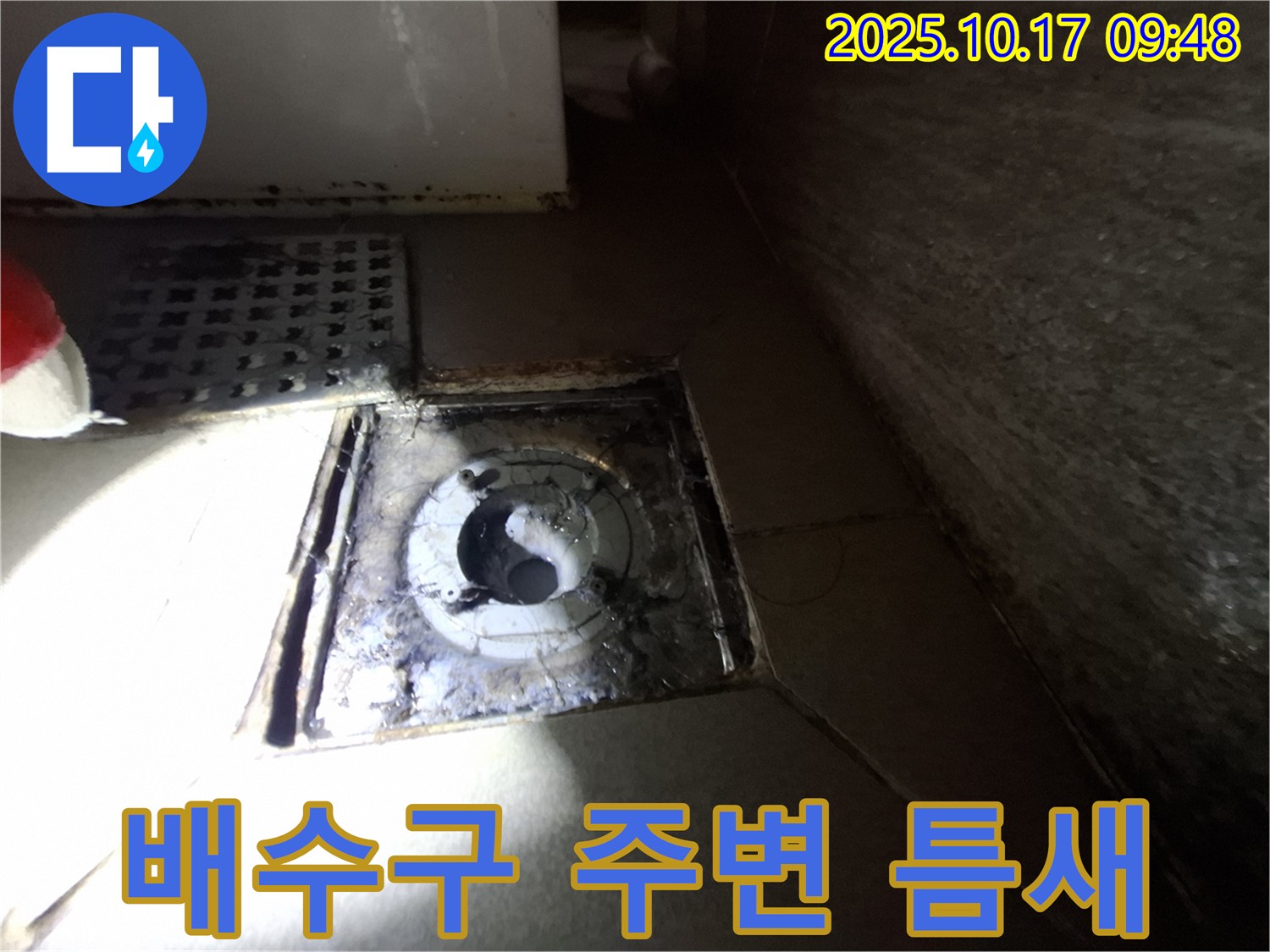 성남 분당 삼평동 봇들마을 아파트 욕실 배수구 주변 틈새 - 누수 가능성을 진단하고 예방 조치를 안내합니다.