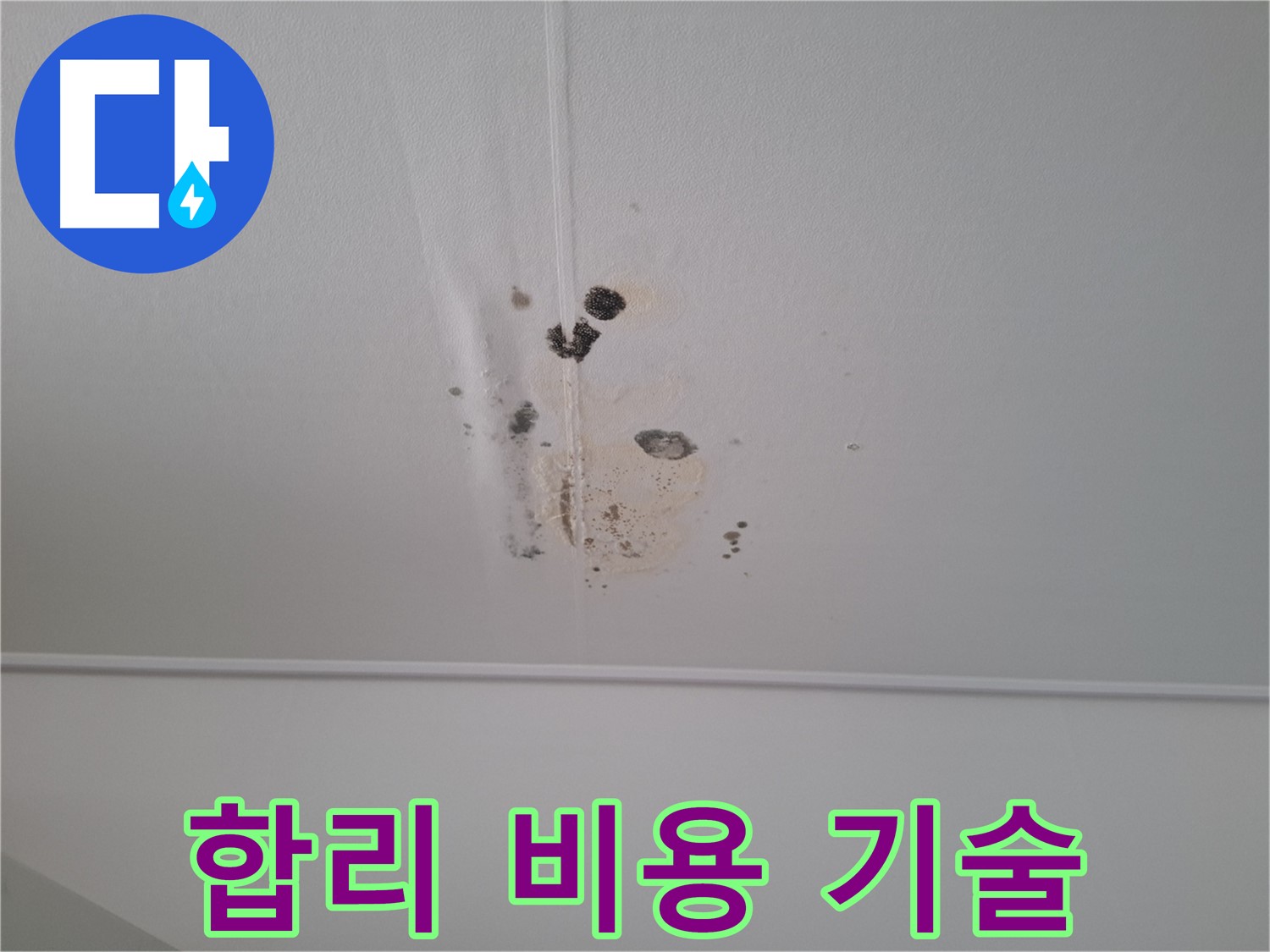 성남 삼평동 봇들마을2단지 아파트 - 합리적인 비용으로 최고의 누수 시공 서비스를 제공합니다.