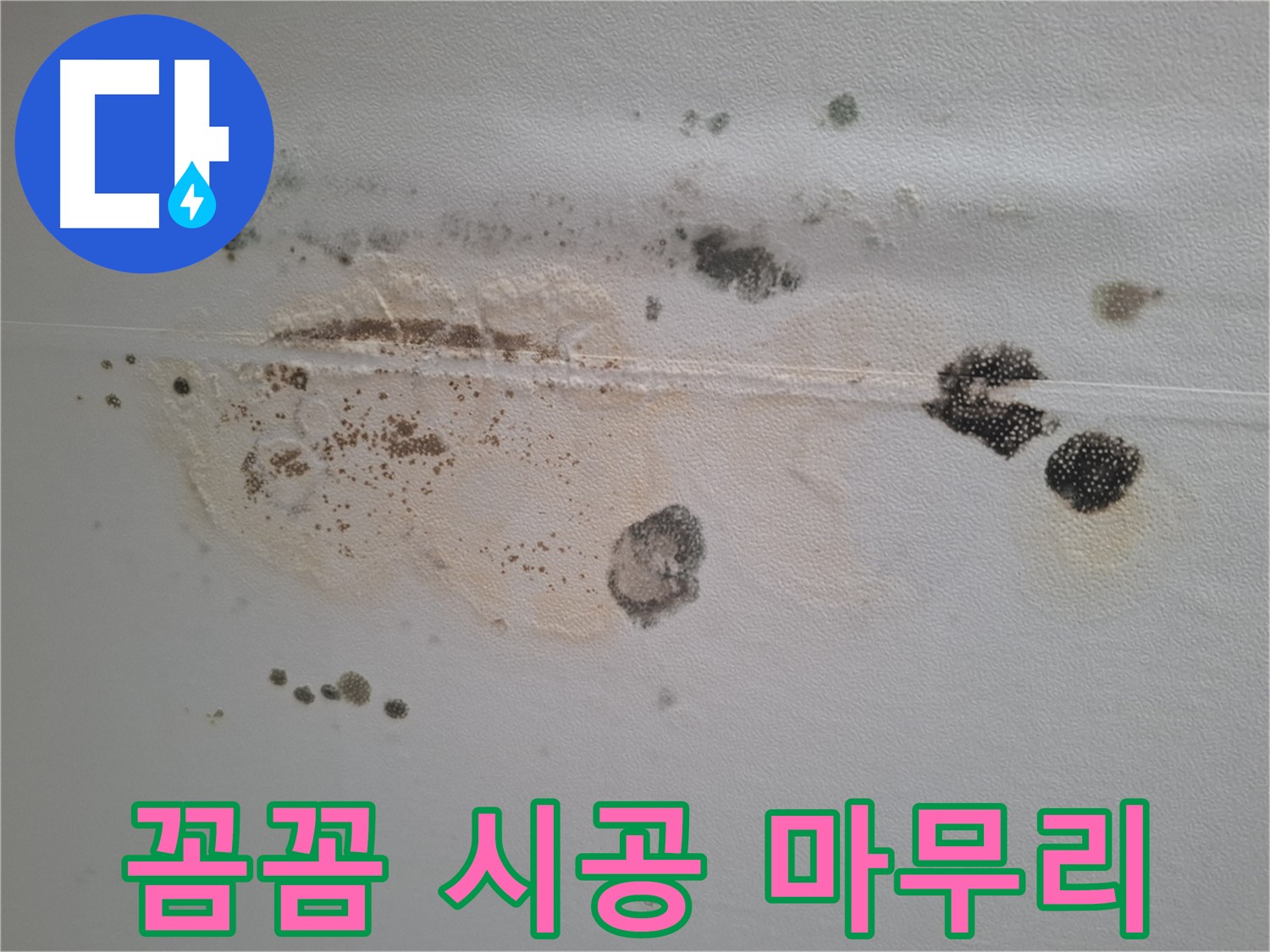 성남시 분당구 삼평동 누수 - 곰팡이 핀 천장, 꼼꼼한 시공과 완벽한 마무리로 보답합니다