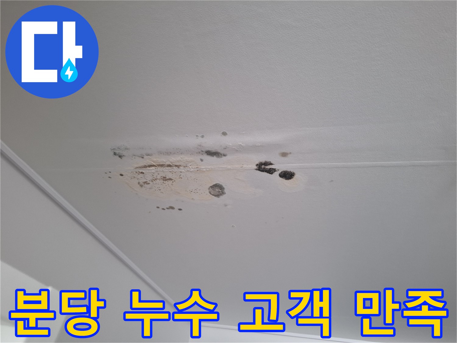 완벽한 누수 해결 - 고객 만족 100%를 위한 최상의 서비스 제공