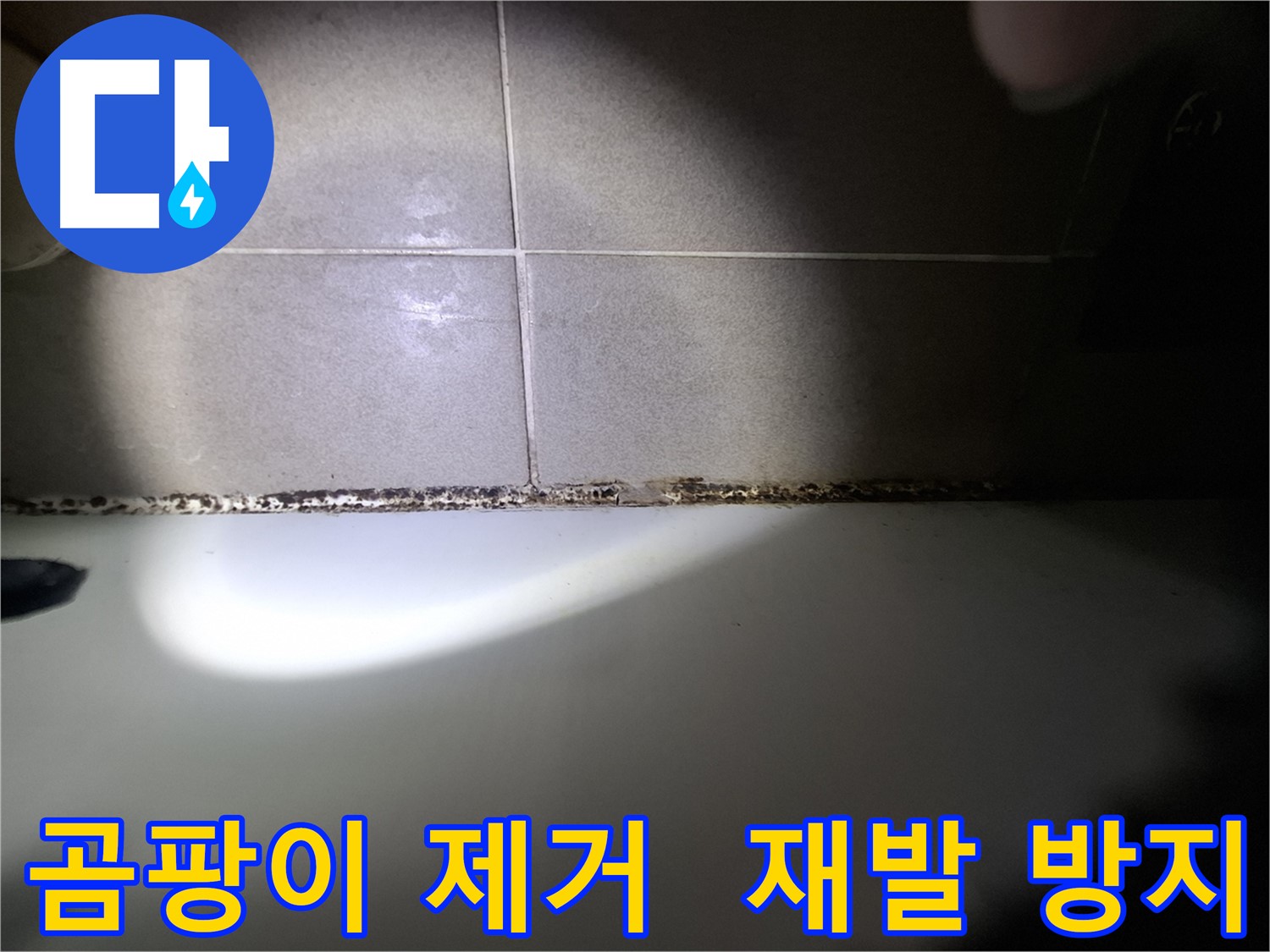욕실 곰팡이 제거 - 곰팡이 재발 방지에 심혈 기울임
